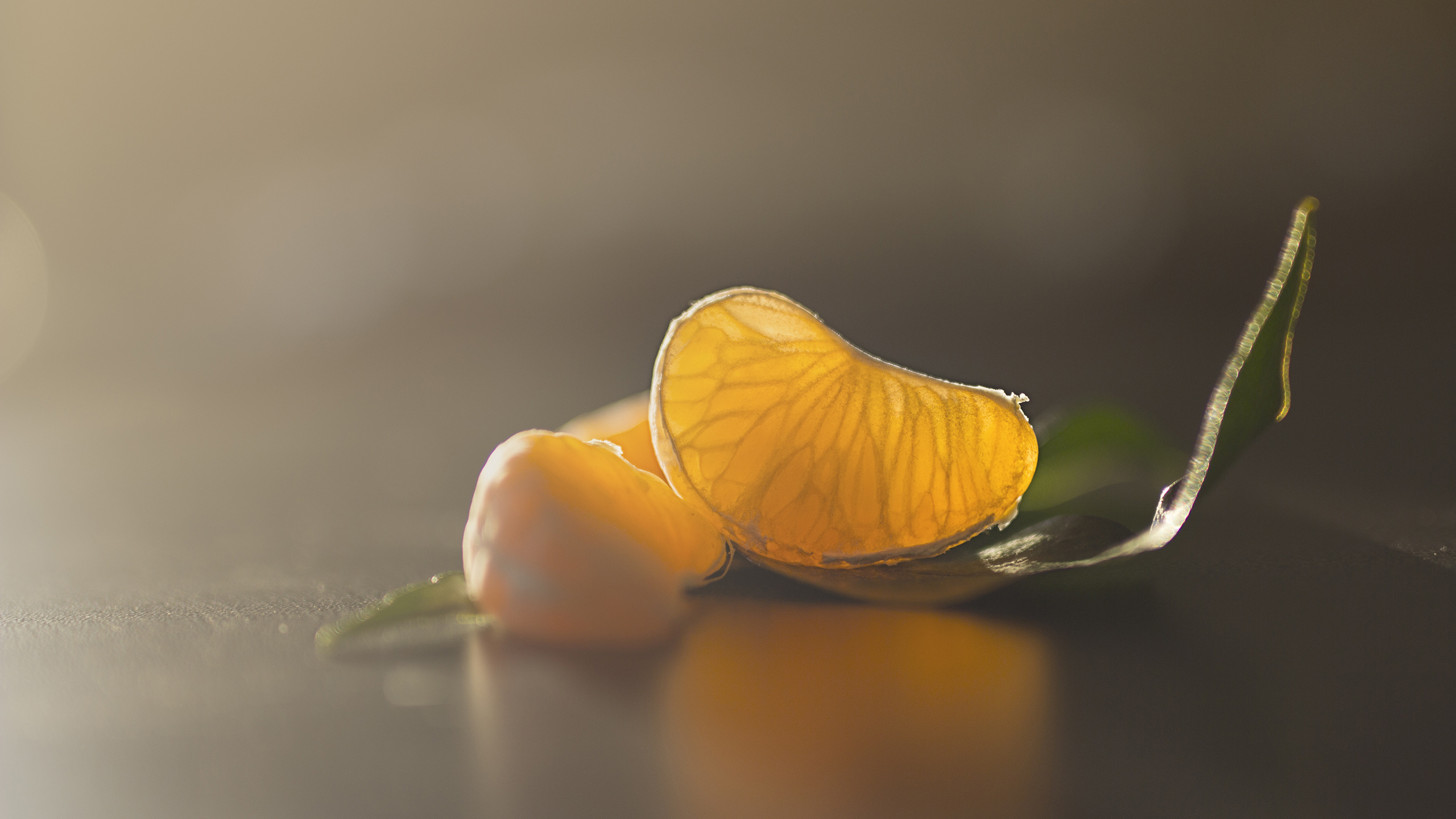 Обои растение, жидкий, лепесток, опылитель, природный ландшафт в разрешении 2560x1440