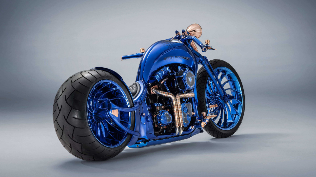 Обои harley davidson blue edition, Харлей Дэвидсон, мотоцикл, softail, шина в разрешении 1280x720