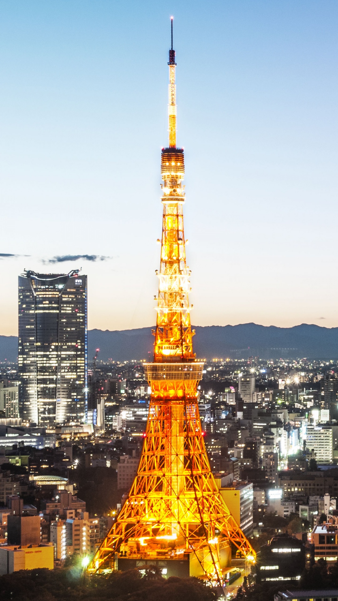Обои токийская башня, Эйфелева башня, городской пейзаж, город, городской район в разрешении 1080x1920
