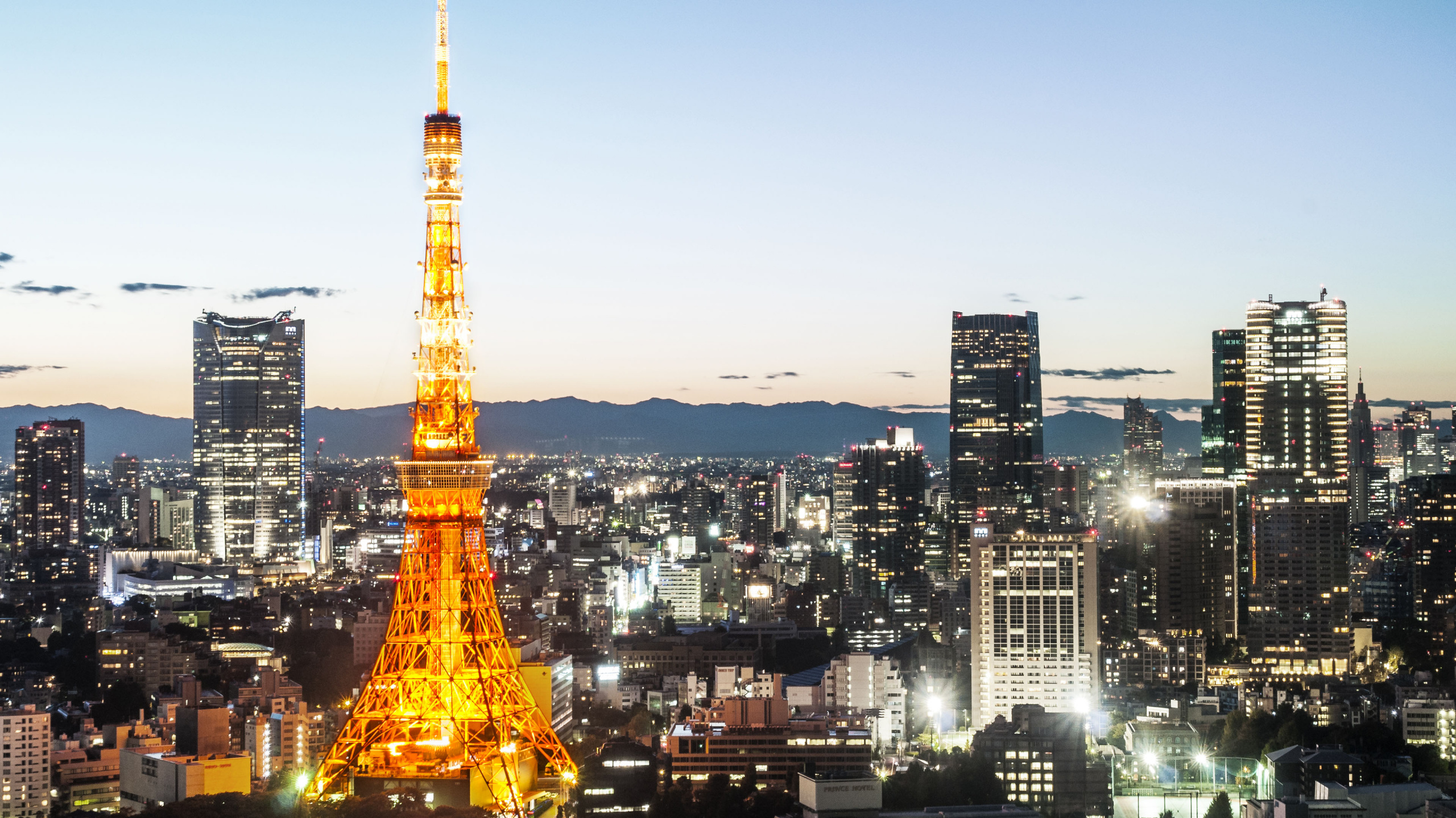 Обои токийская башня, Эйфелева башня, городской пейзаж, город, городской район в разрешении 2560x1440