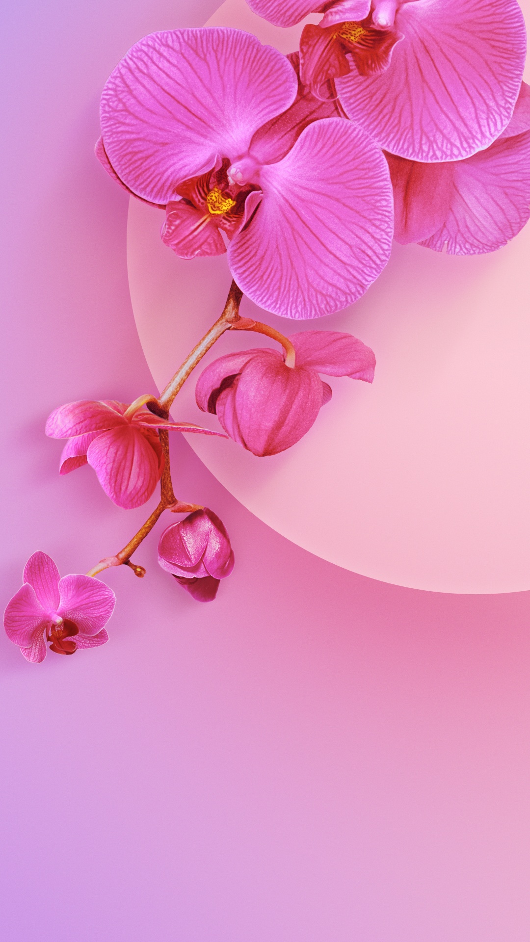 Обои Xiaomi, Xiaomi Redmi K20 Pro, редми 7а, xiaomi mi 9t pro, редми 8а в разрешении 1080x1920