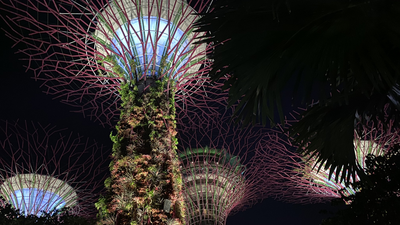 Обои Сингапур, ночь, пальмовые рощи, салют, достопримечательность в разрешении 1280x720