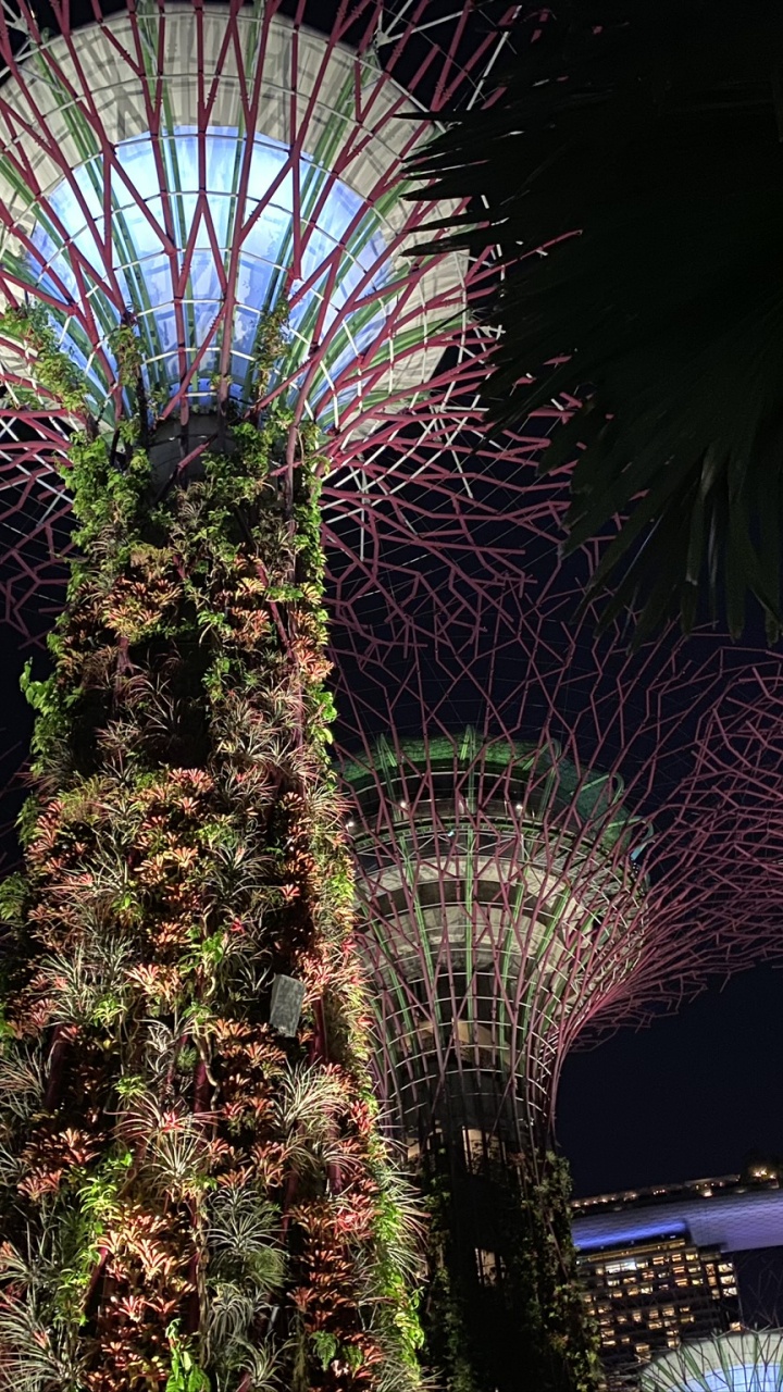 Обои Сингапур, ночь, пальмовые рощи, салют, достопримечательность в разрешении 720x1280