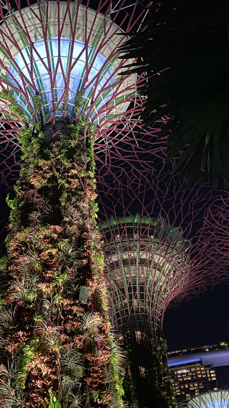 Обои Сингапур, ночь, пальмовые рощи, салют, достопримечательность в разрешении 750x1334