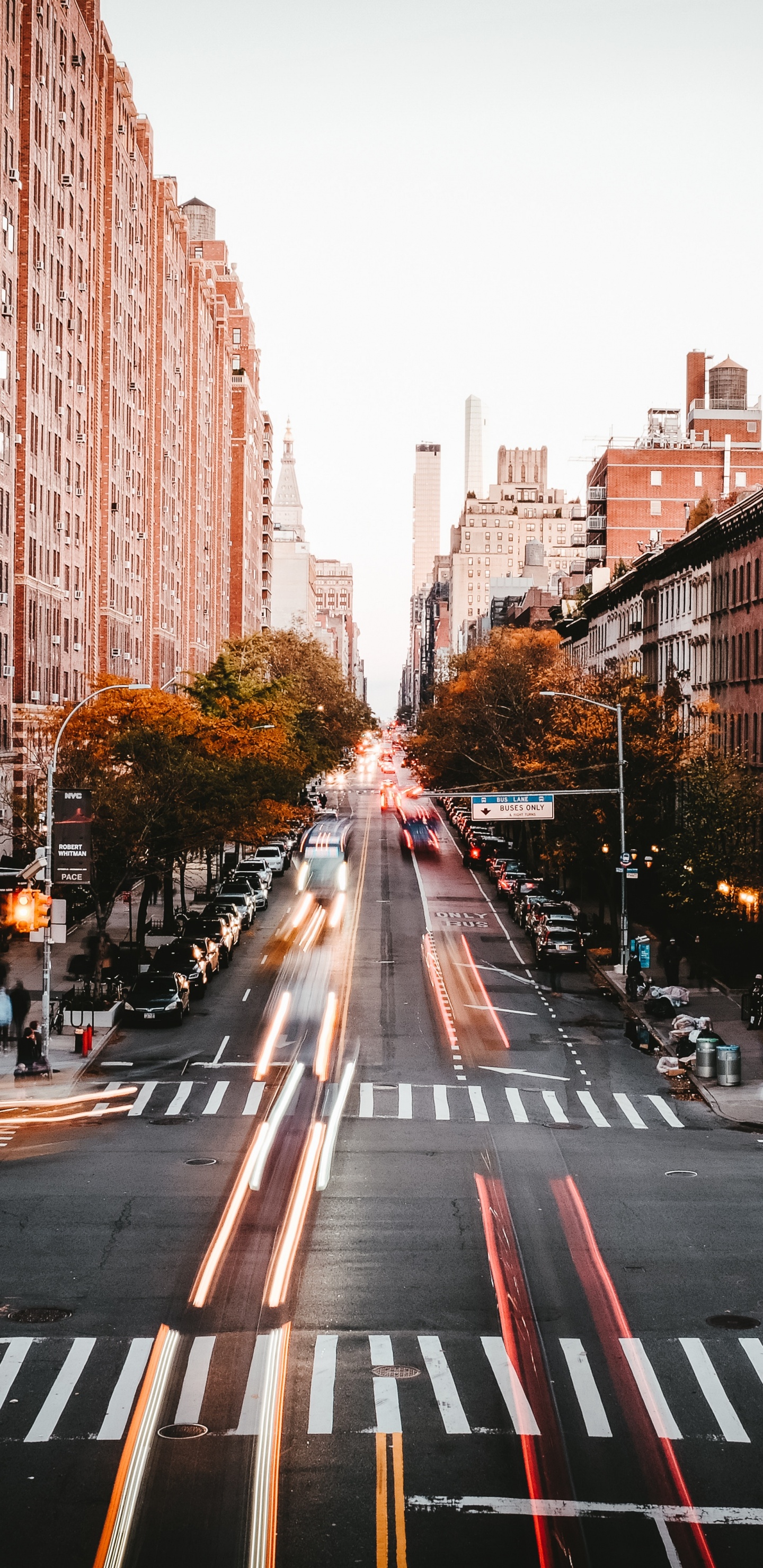 Обои городской район, город, населенный пункт, улица, ориентир в разрешении 1440x2960