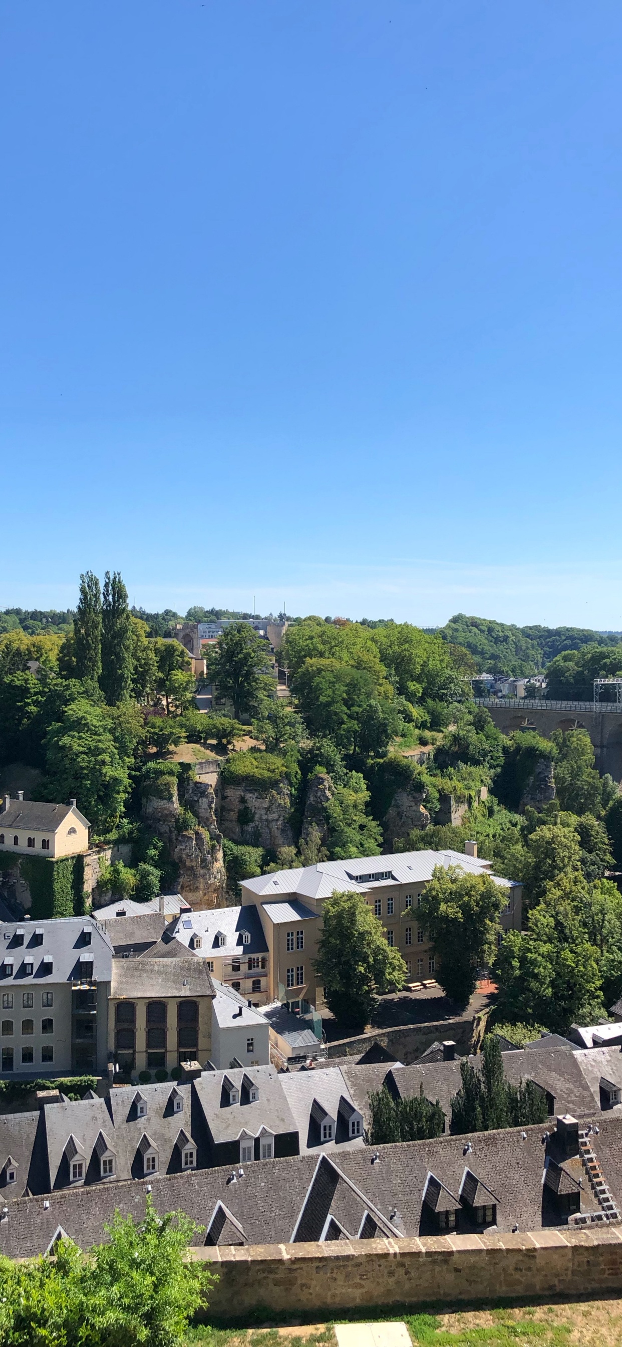 Обои растение, свойство, дерево, Хаус, деревня в разрешении 1242x2688