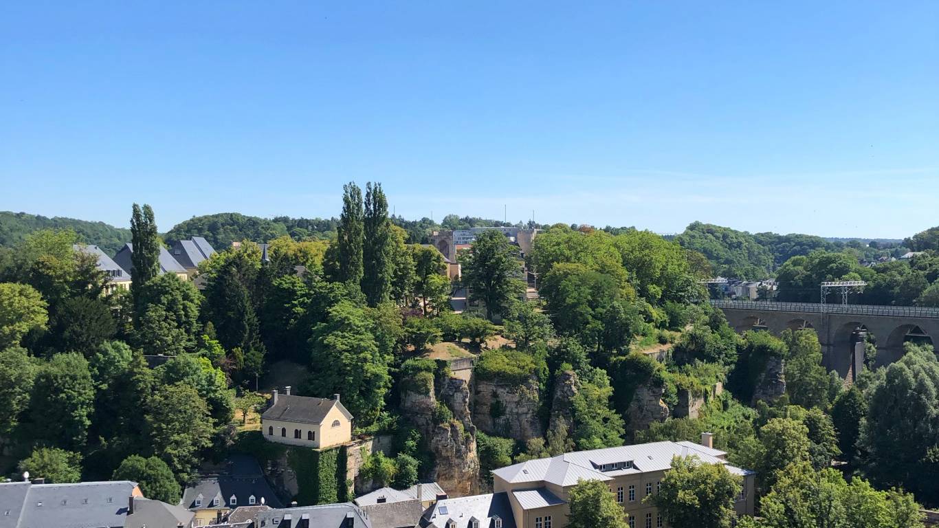 Обои растение, свойство, дерево, Хаус, деревня в разрешении 1366x768