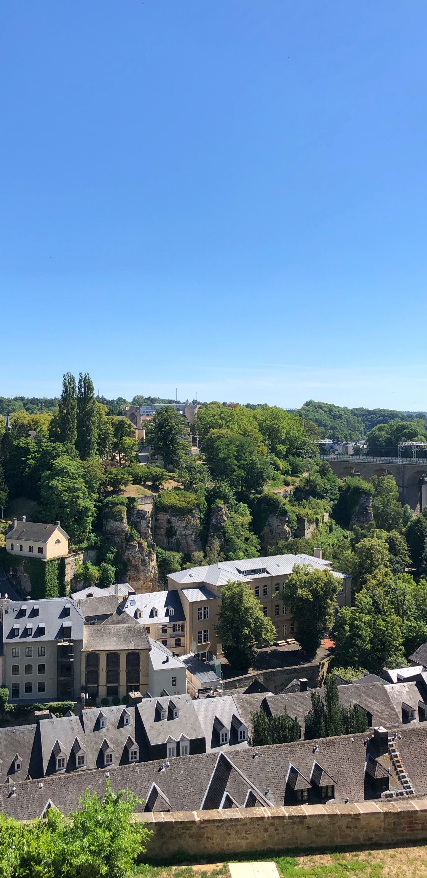 Обои растение, свойство, дерево, Хаус, деревня в разрешении 1440x2960