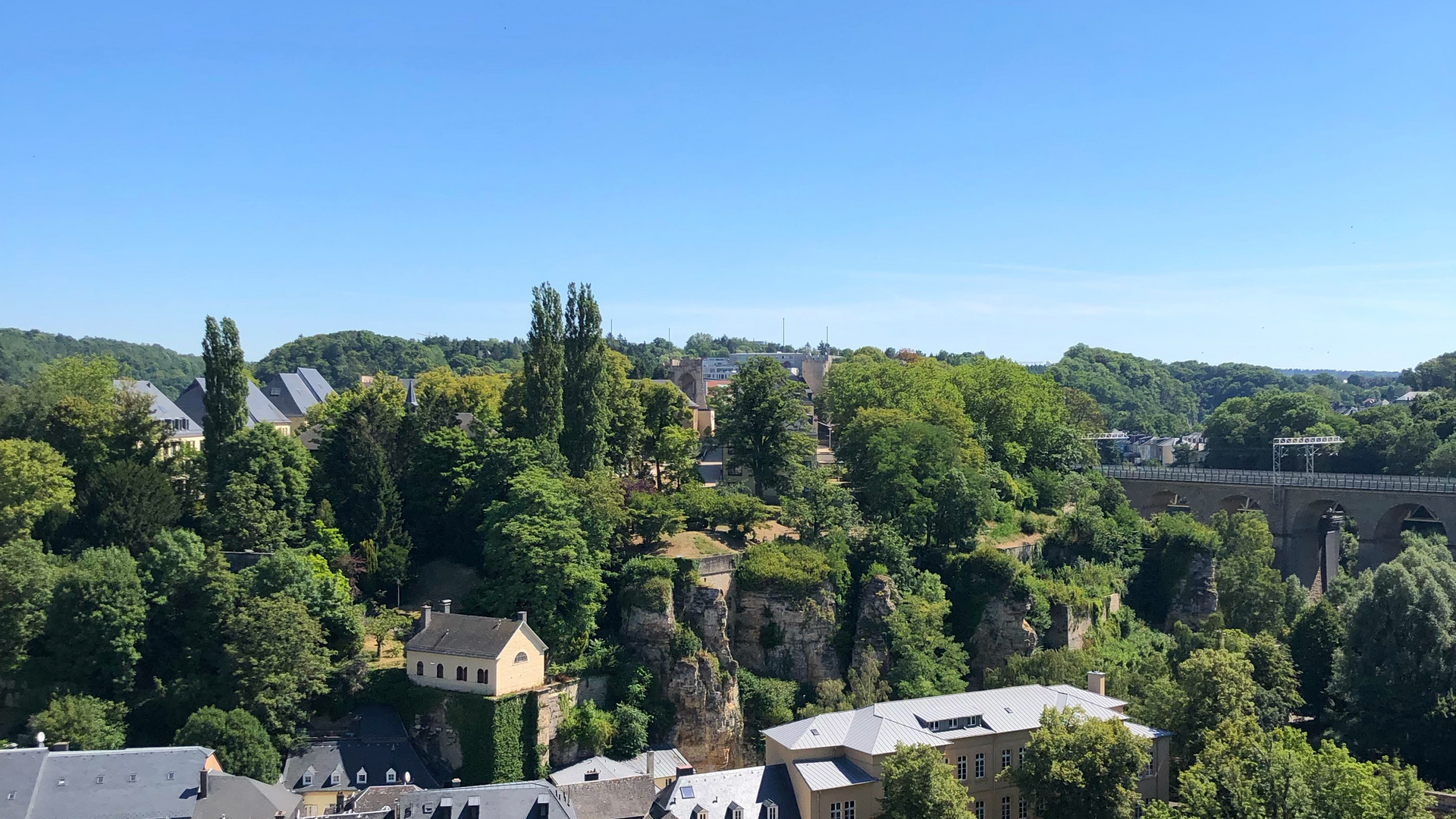 Обои растение, свойство, дерево, Хаус, деревня в разрешении 2560x1440