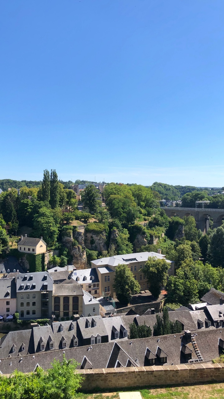 Обои растение, свойство, дерево, Хаус, деревня в разрешении 720x1280