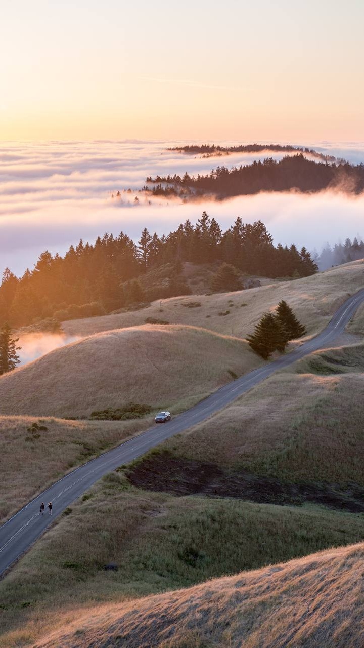 Обои облако, гидроресурсы, экорегион, растение, природный ландшафт в разрешении 720x1280