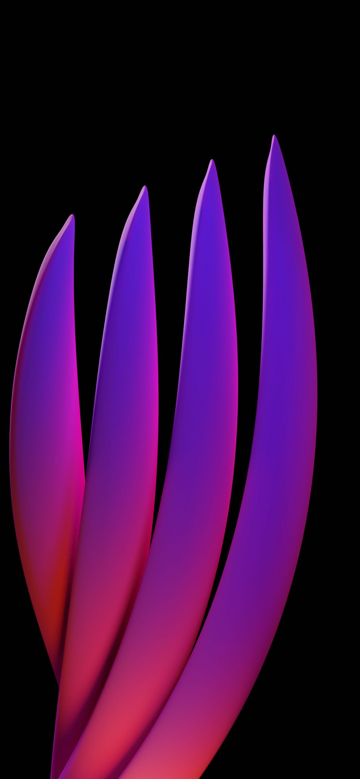 Обои свет, наука, физика, пурпур, лепесток в разрешении 1242x2688