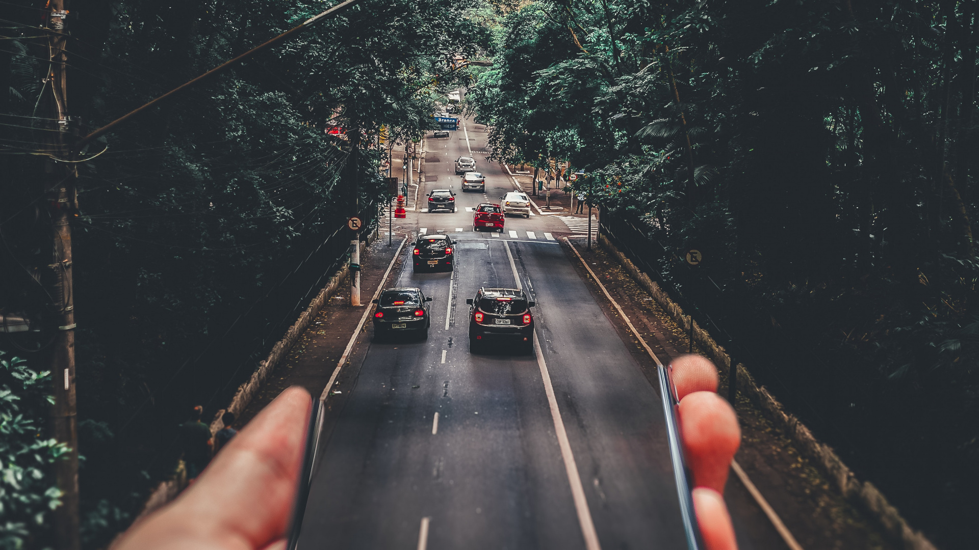 Обои вынужденная перспектива, легковые автомобили, растение, автомобильное освещение, зеленый в разрешении 1920x1080