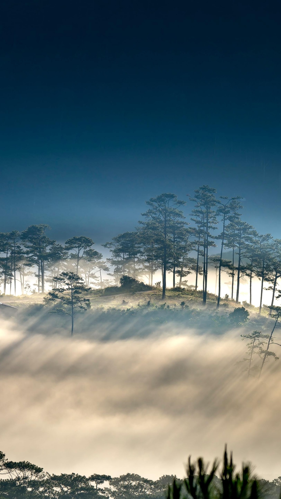 Обои векторная графика, иллюстрация, облако, атмосфера, растение в разрешении 1080x1920