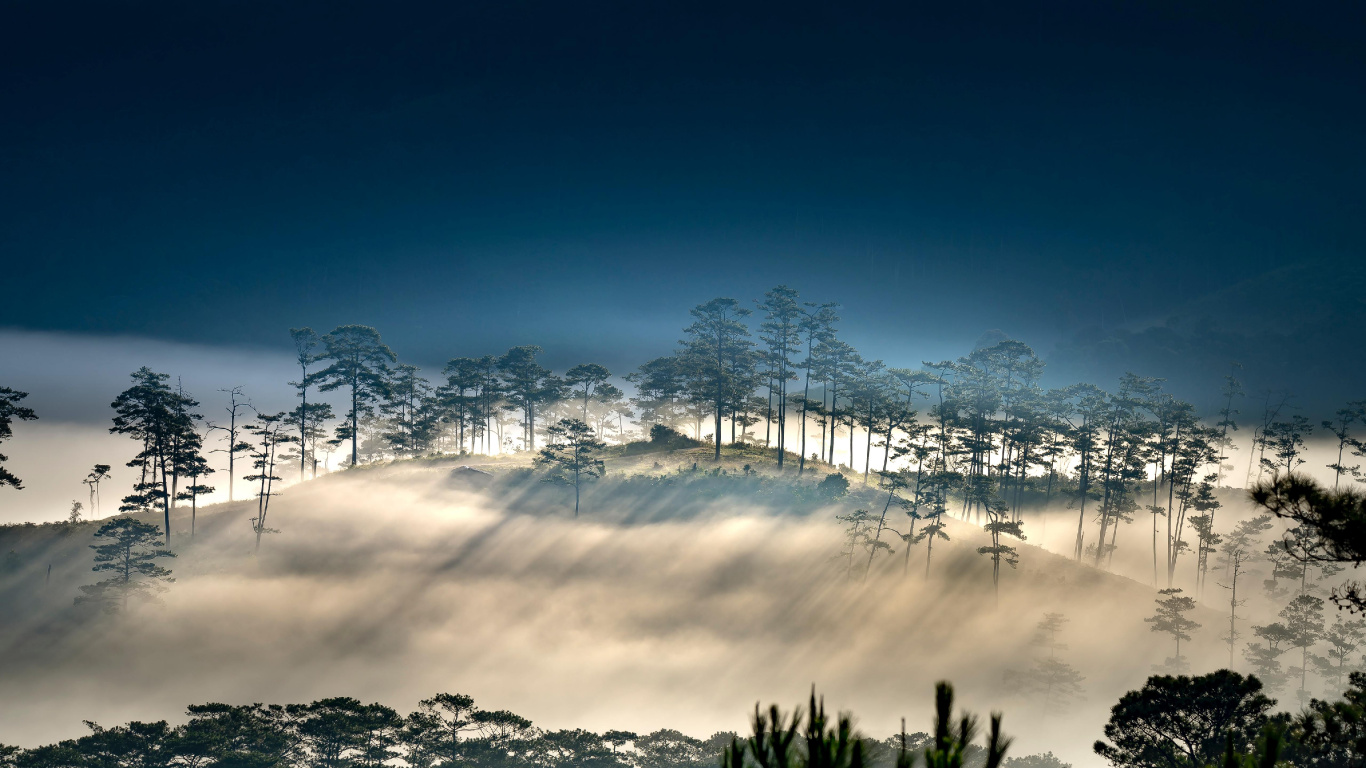 Обои векторная графика, иллюстрация, облако, атмосфера, растение в разрешении 1366x768