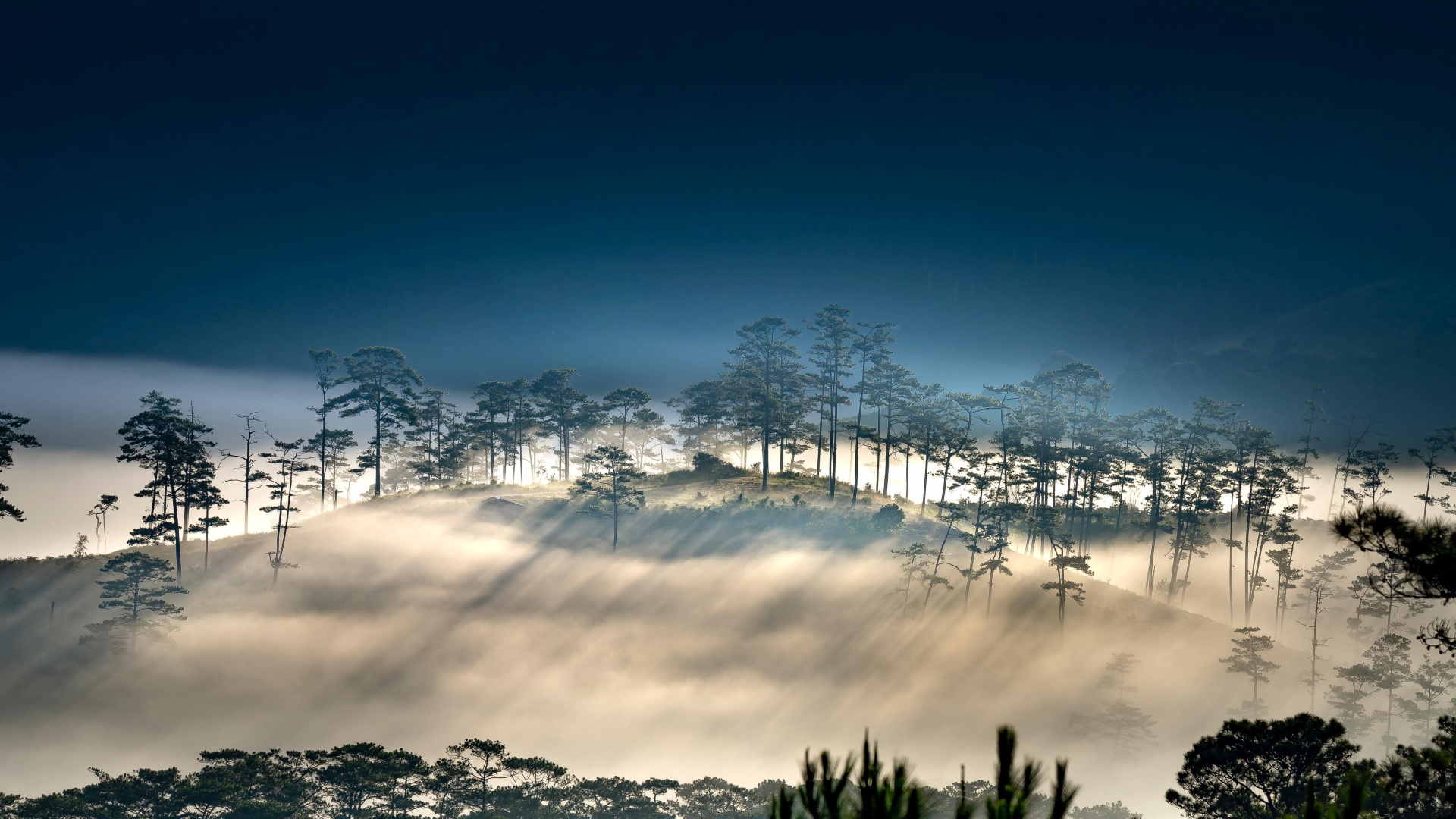 Обои векторная графика, иллюстрация, облако, атмосфера, растение в разрешении 1920x1080