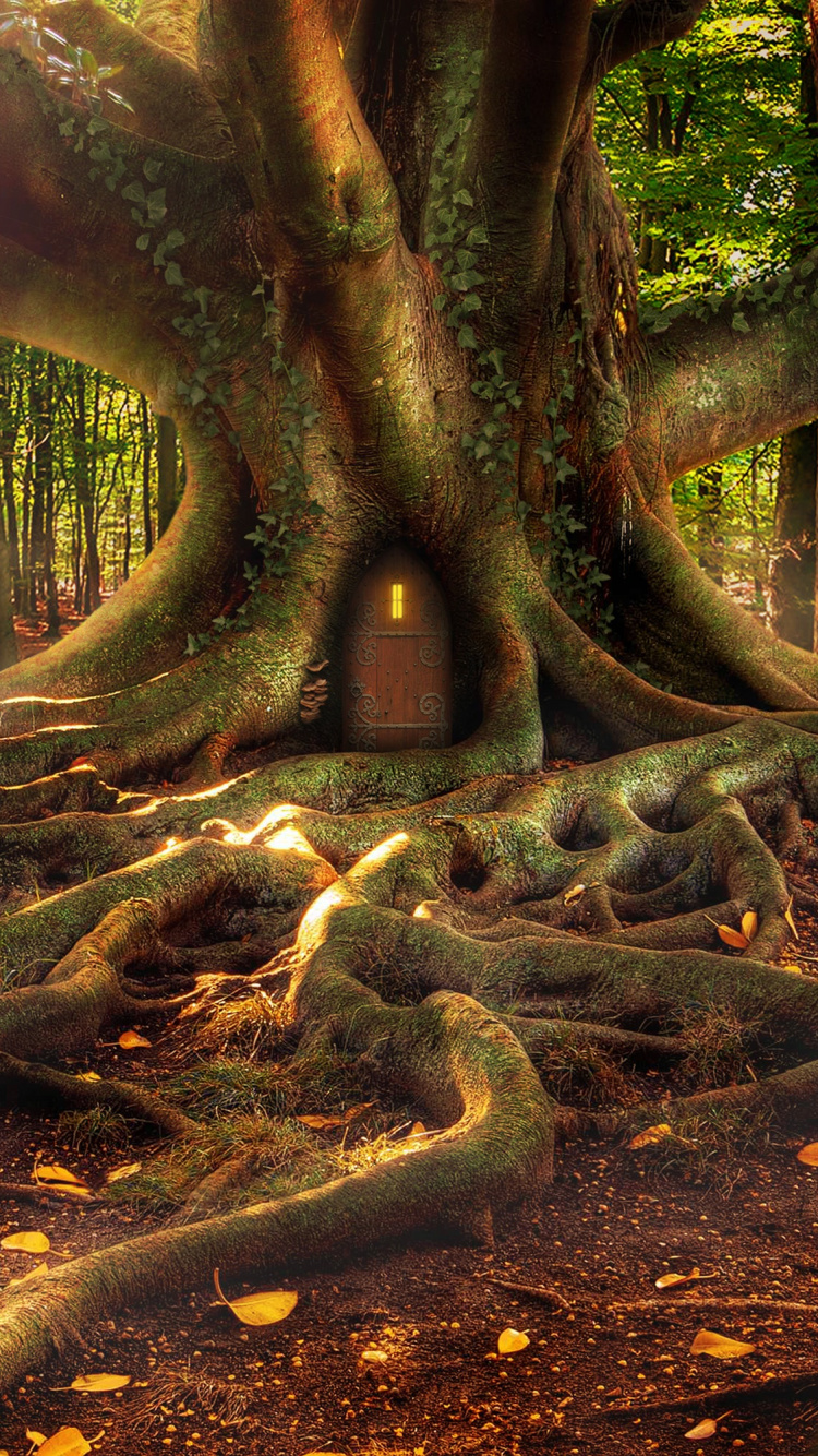 Обои фэнтези, лес, природа, дерево, окружающая среда в разрешении 750x1334