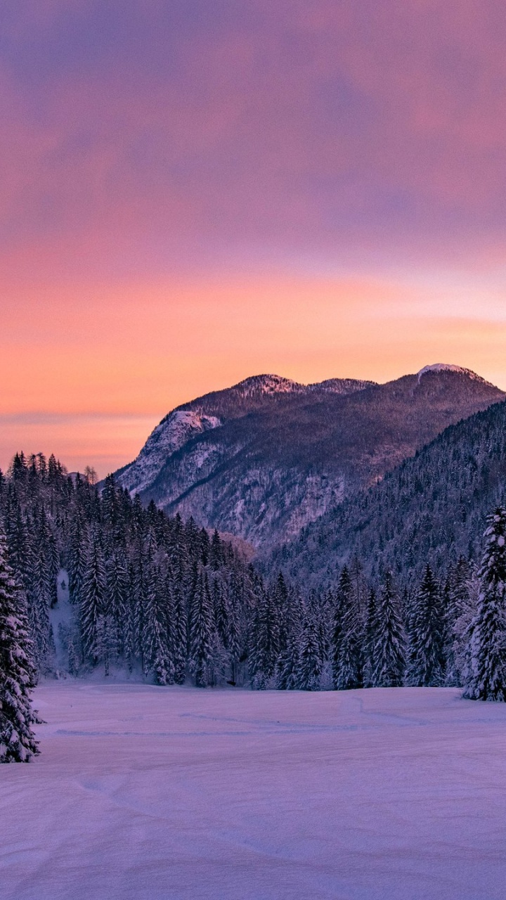 Обои снег, зима, природа, дерево, гора в разрешении 720x1280