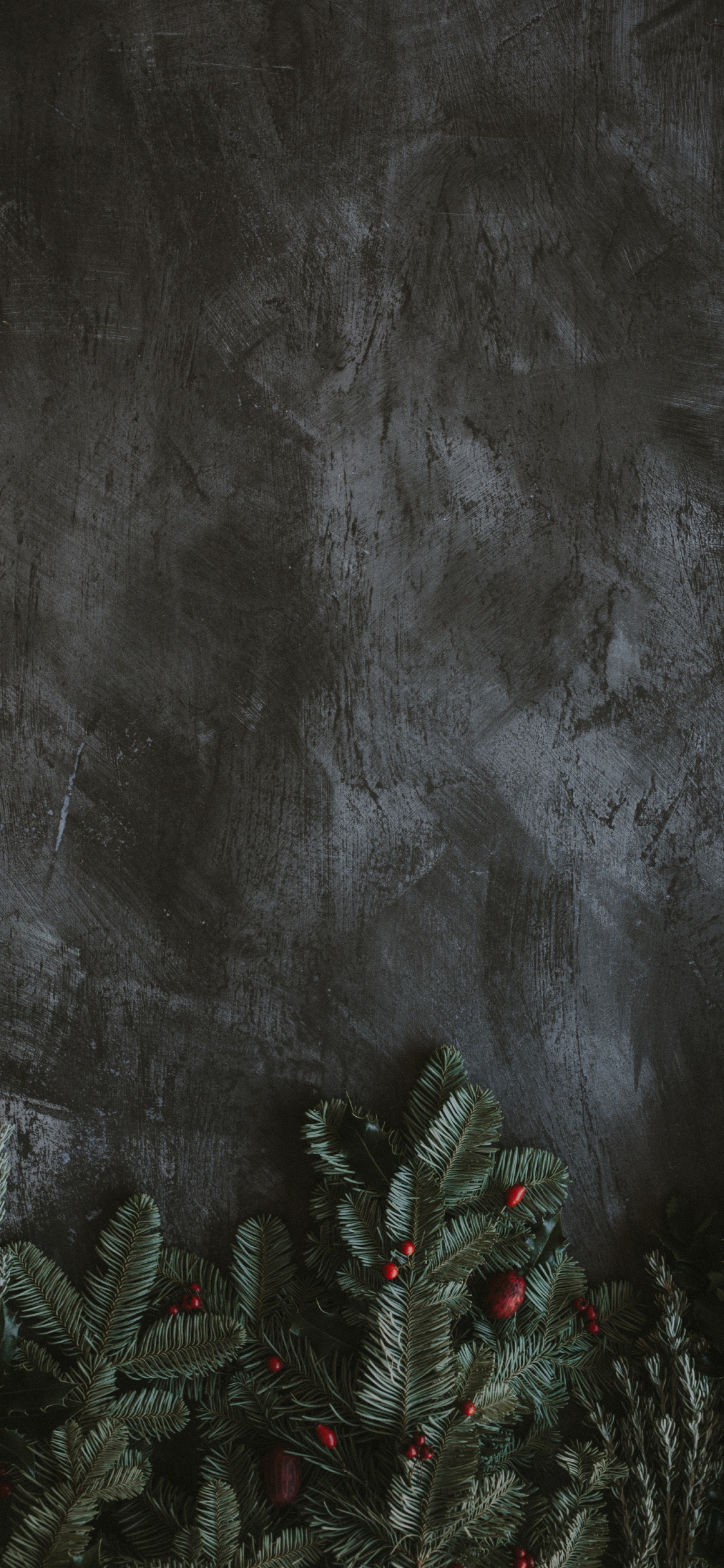 Обои черный, темнота, атмосфера, дерево, космос в разрешении 1125x2436