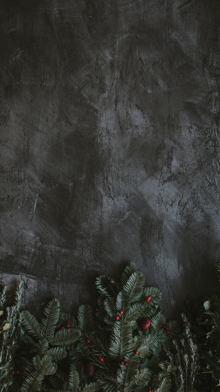 Обои черный, темнота, атмосфера, дерево, космос в разрешении 750x1334