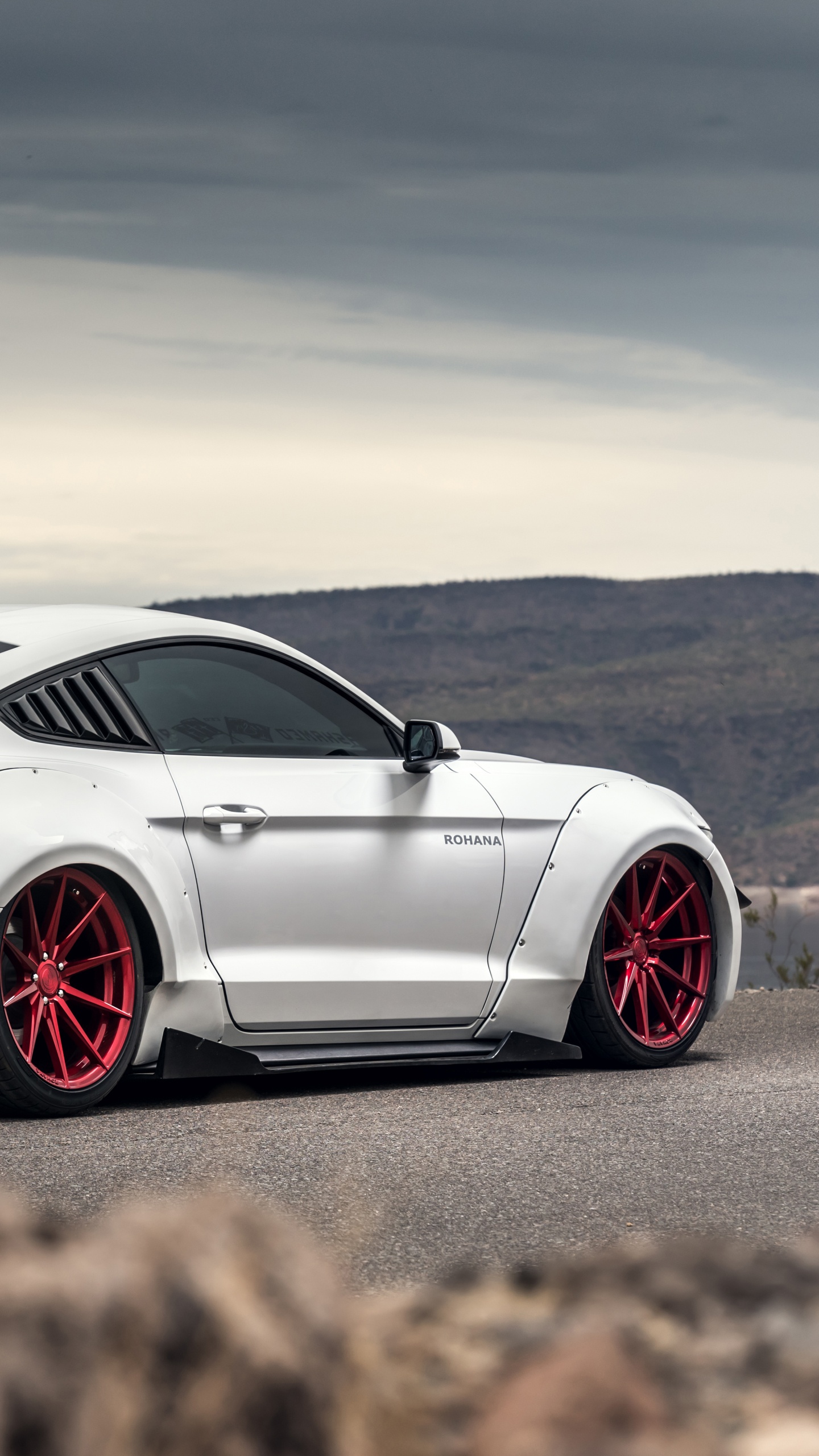 Обои Шелби Мустанг, ford gt, спорткар, ford, авто в разрешении 1440x2560