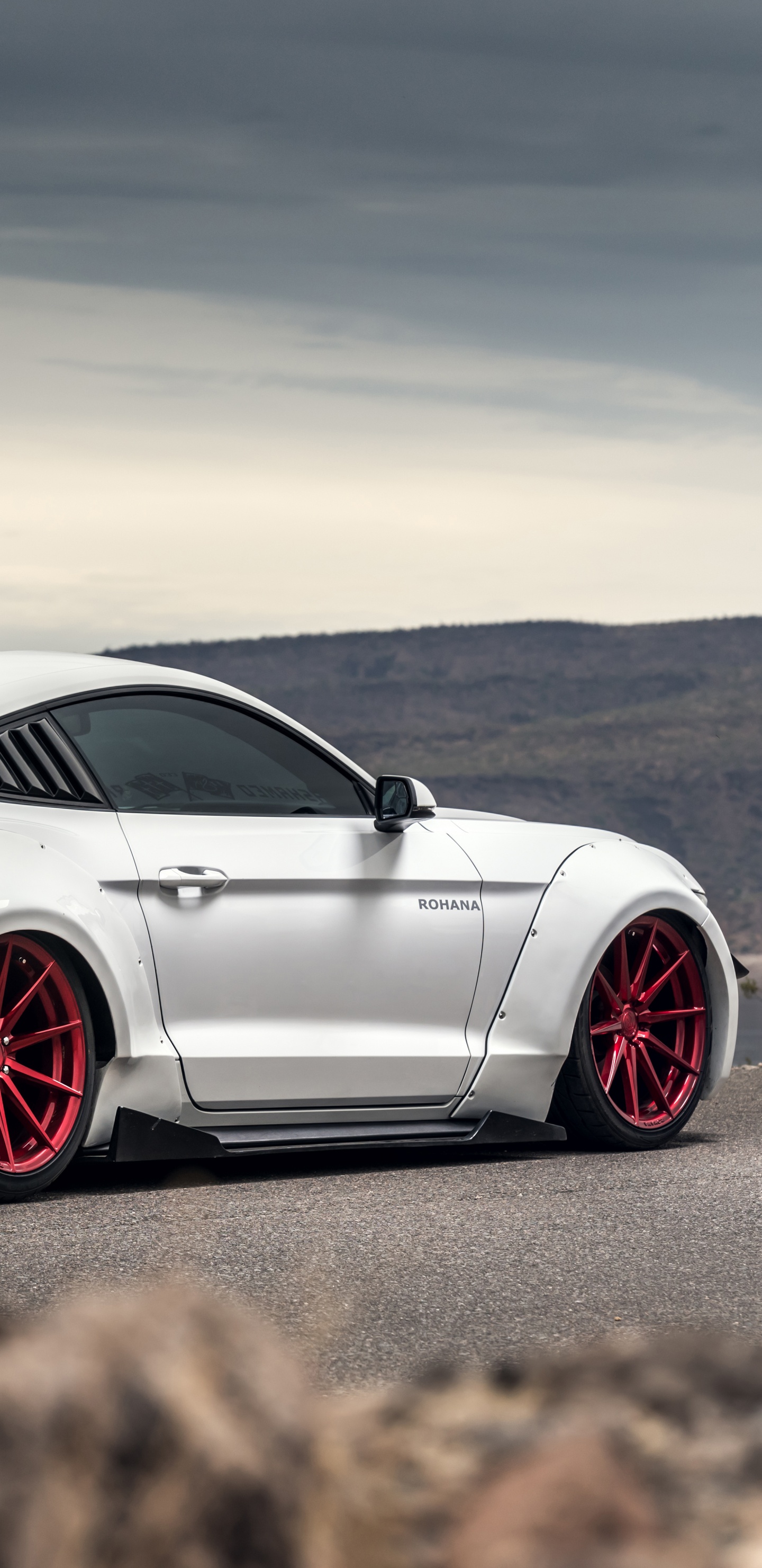 Обои Шелби Мустанг, ford gt, спорткар, ford, авто в разрешении 1440x2960