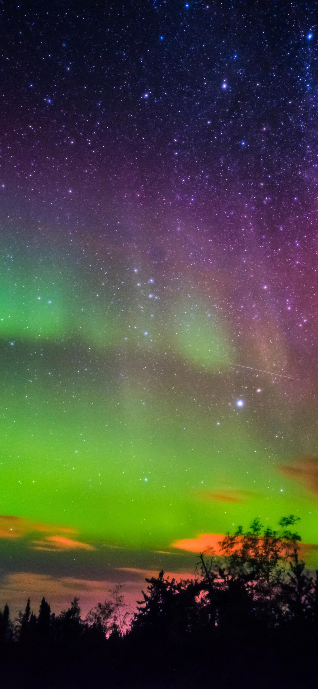 Обои лучшее северное сияние, Аврора, Йеллоунайф, природа, зеленый в разрешении 1242x2688