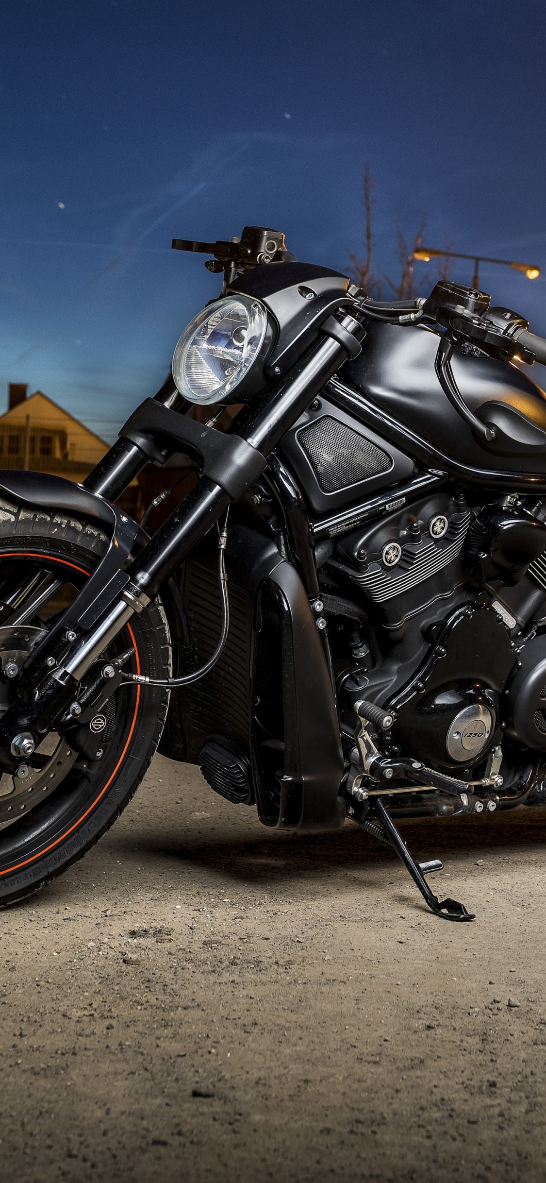 Обои Харлей Дэвидсон, мотоцикл, harley davidson sportster, softail, Мотоциклы Triumph в разрешении 1125x2436