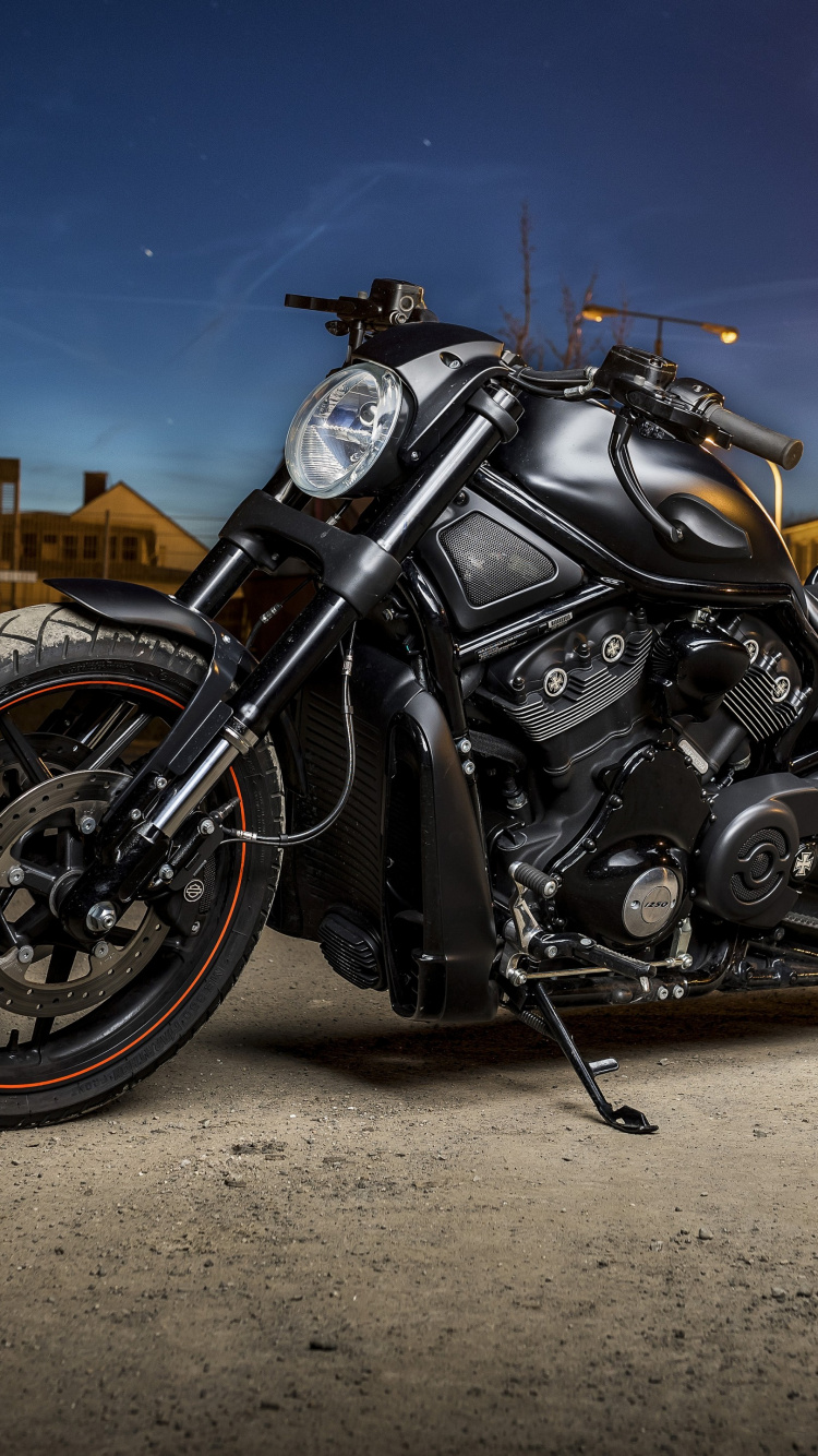 Обои Харлей Дэвидсон, мотоцикл, harley davidson sportster, softail, Мотоциклы Triumph в разрешении 750x1334