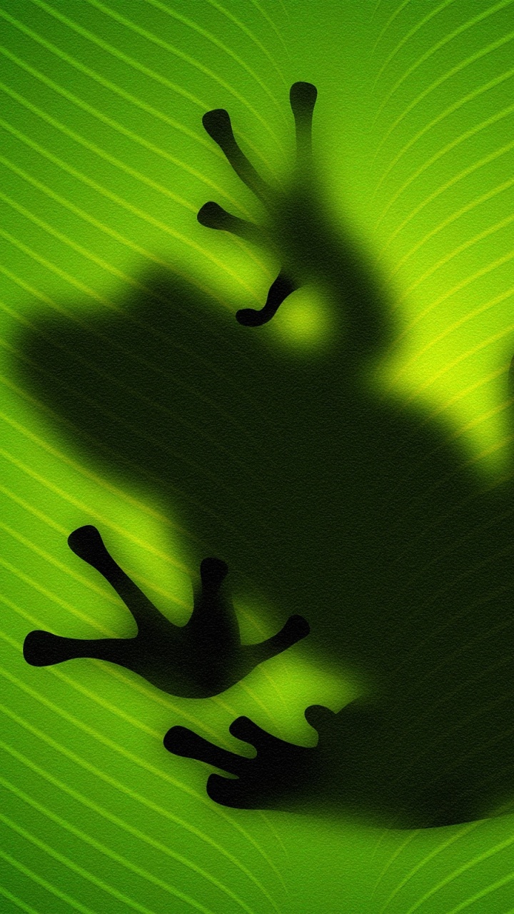 Обои квакша, зеленый, земноводное, лягушка, Красноглазая квакша в разрешении 720x1280