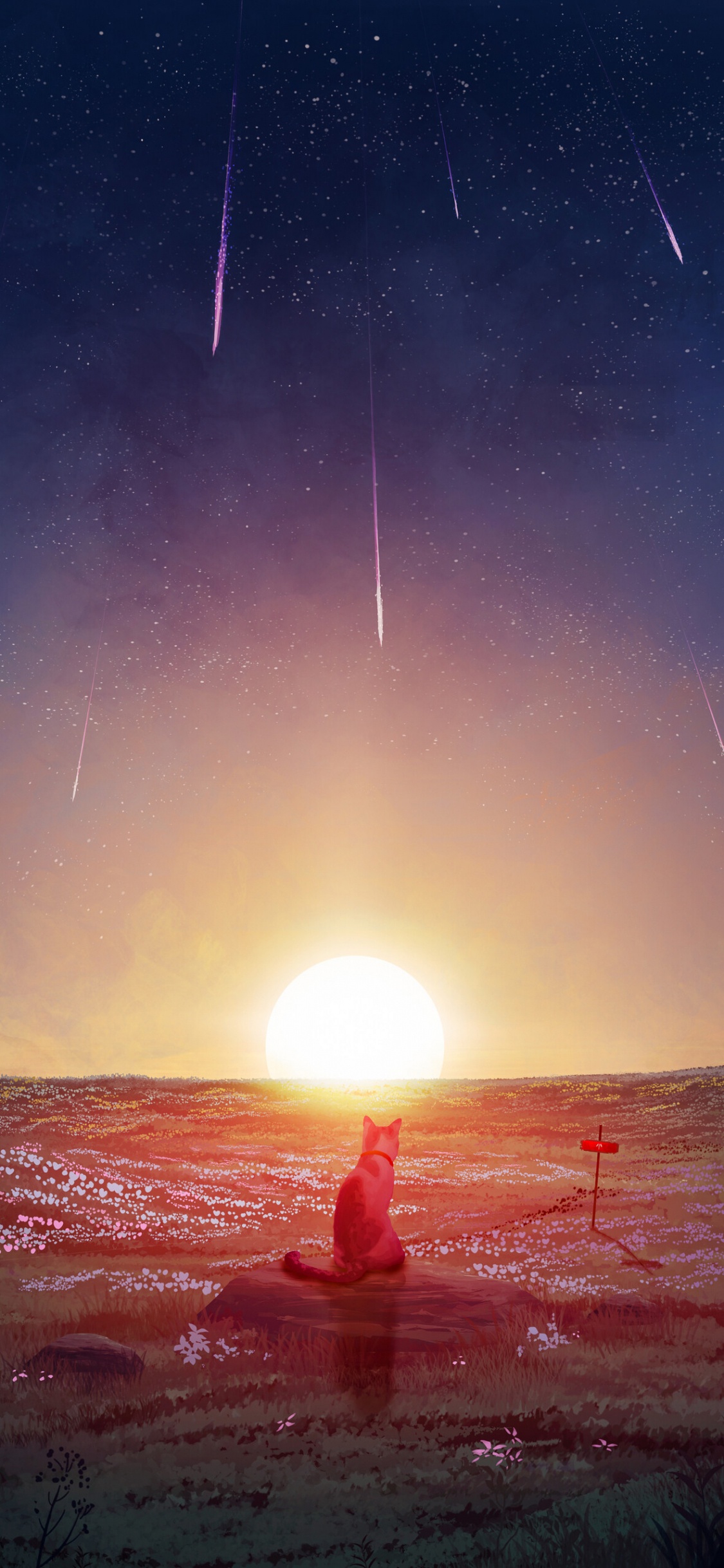 Обои астрономический объект, атмосфера, солнце, горизонт, космос в разрешении 1125x2436