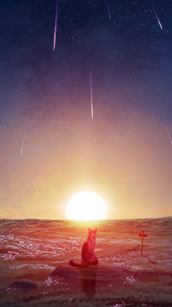 Обои астрономический объект, атмосфера, солнце, горизонт, космос в разрешении 720x1280