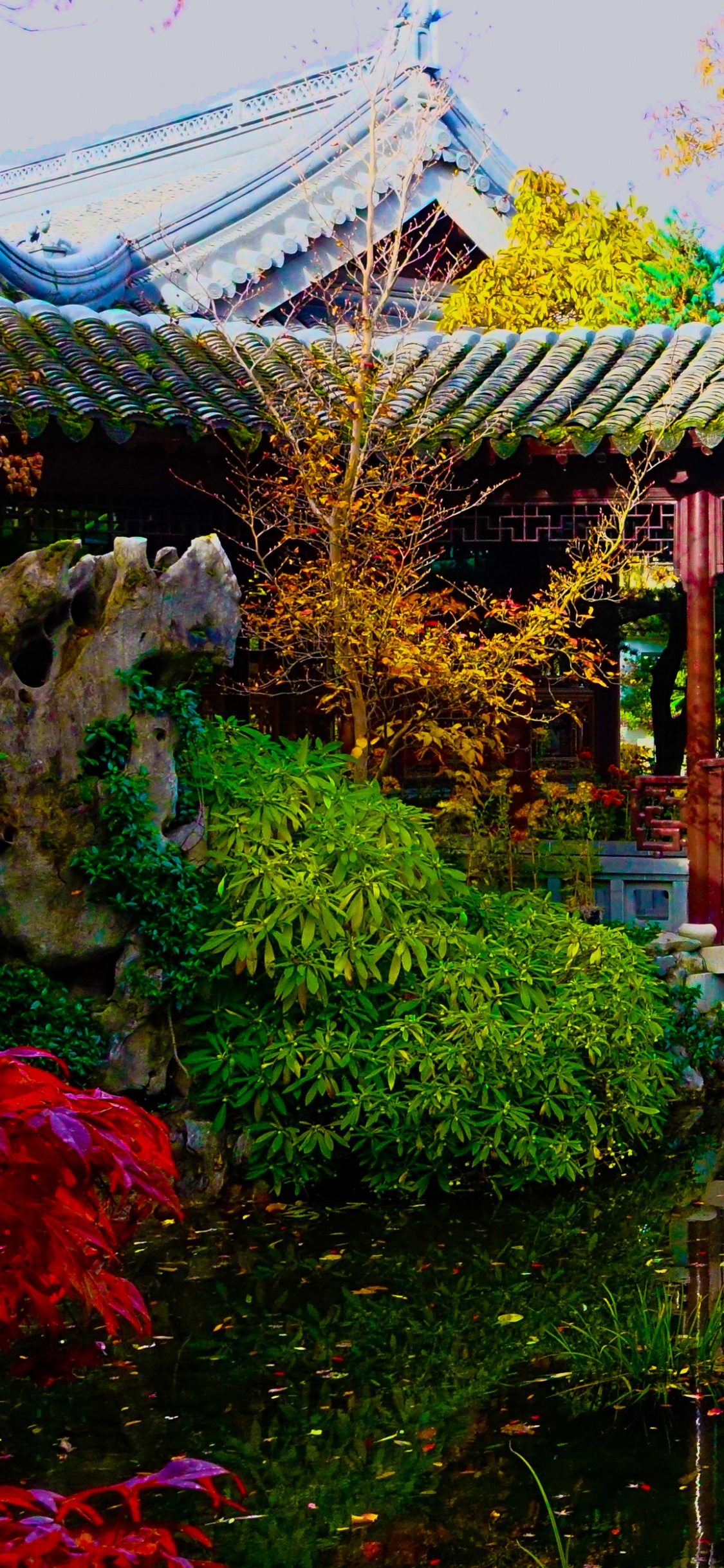 Обои Лан Су Китайский Сад, Портлендский Японский Сад, сад, китайский сад, природа в разрешении 1125x2436