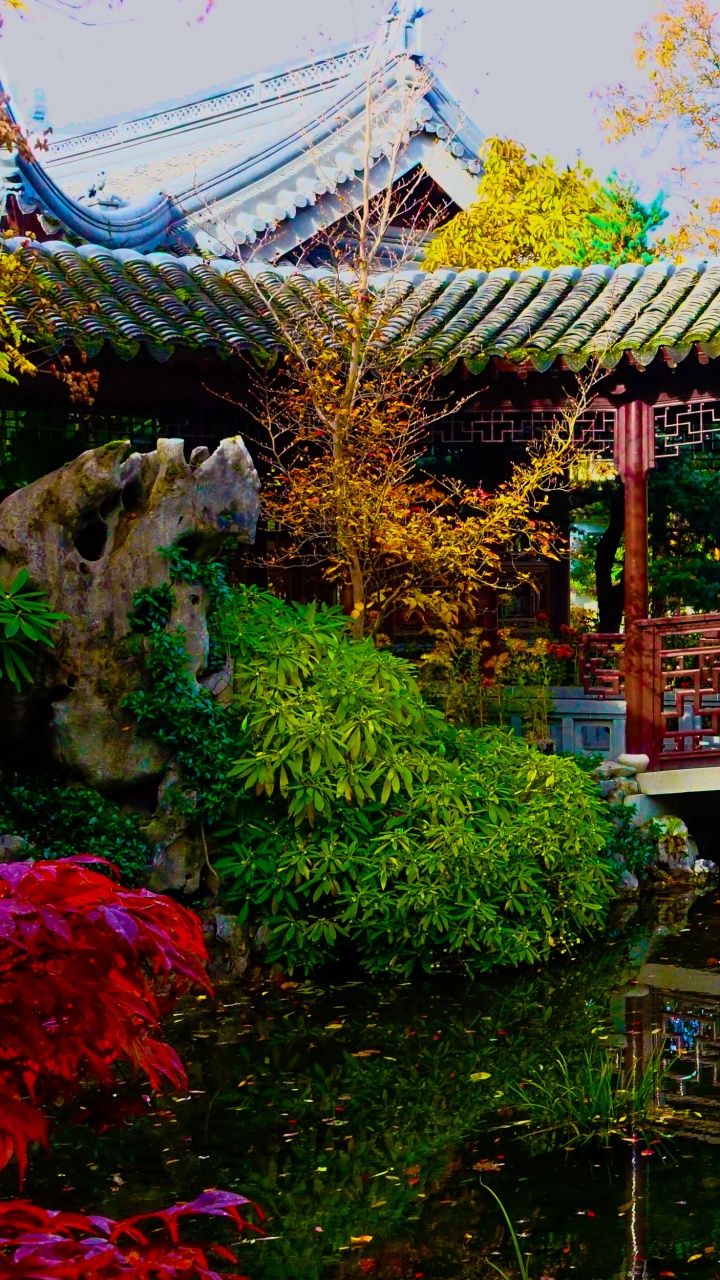 Обои Лан Су Китайский Сад, Портлендский Японский Сад, сад, китайский сад, природа в разрешении 720x1280