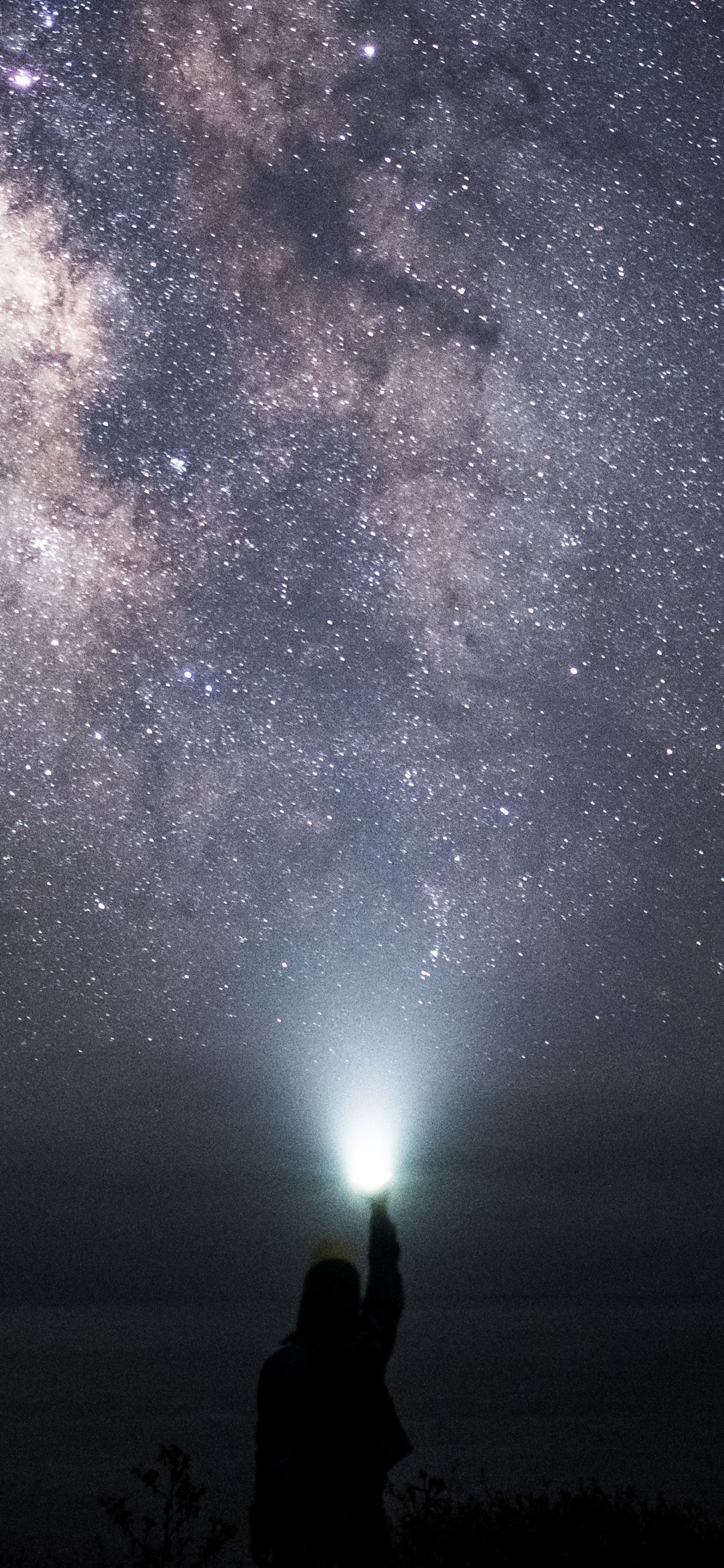 Обои ночное небо, звезда, Научный Центр Сент-Луиса, ночь, атмосфера в разрешении 1242x2688