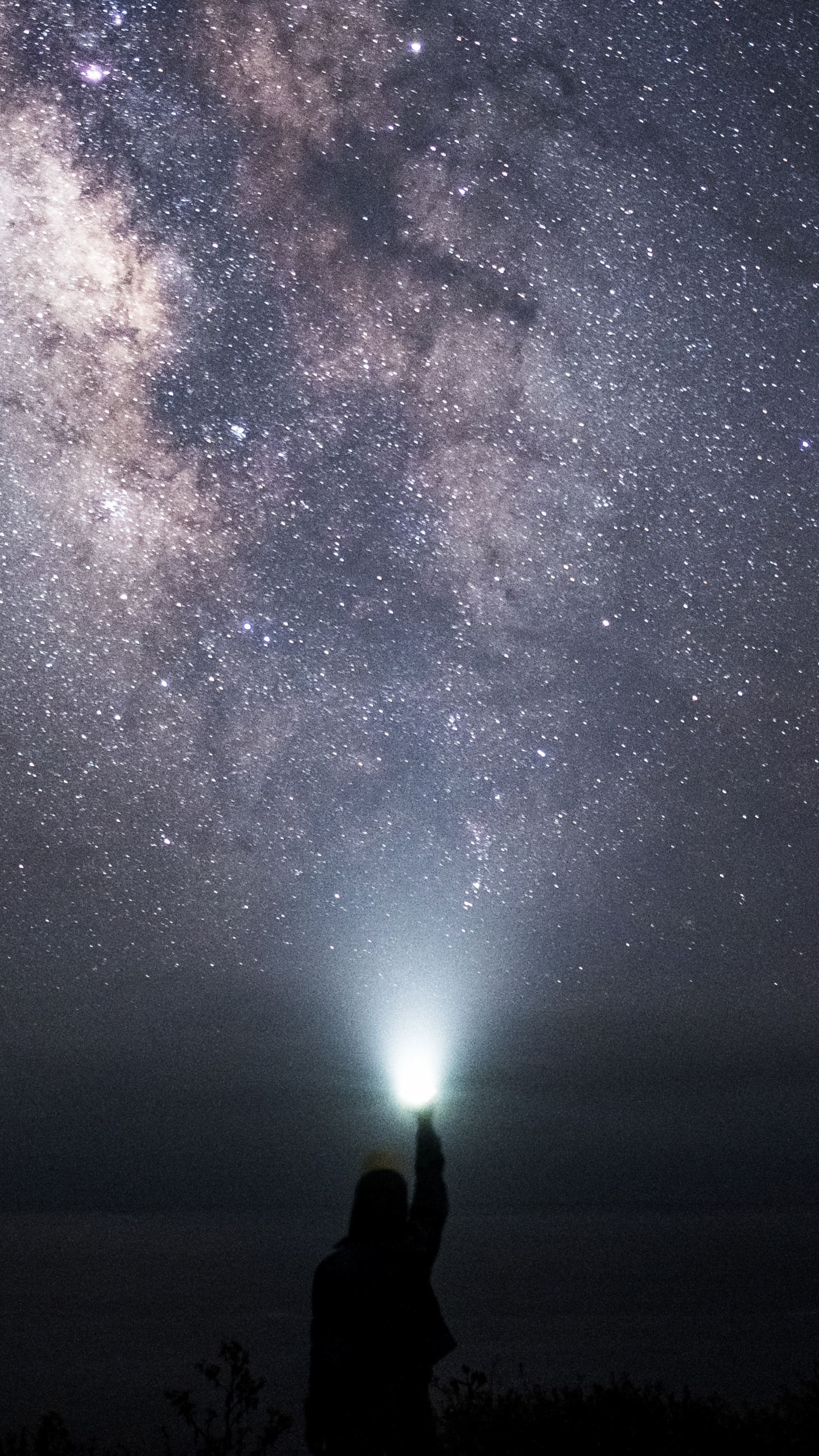 Обои ночное небо, звезда, Научный Центр Сент-Луиса, ночь, атмосфера в разрешении 1440x2560