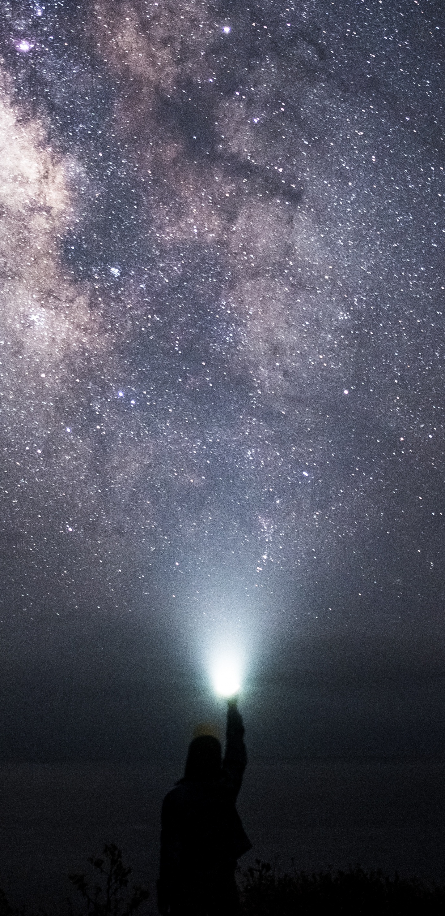 Обои ночное небо, звезда, Научный Центр Сент-Луиса, ночь, атмосфера в разрешении 1440x2960