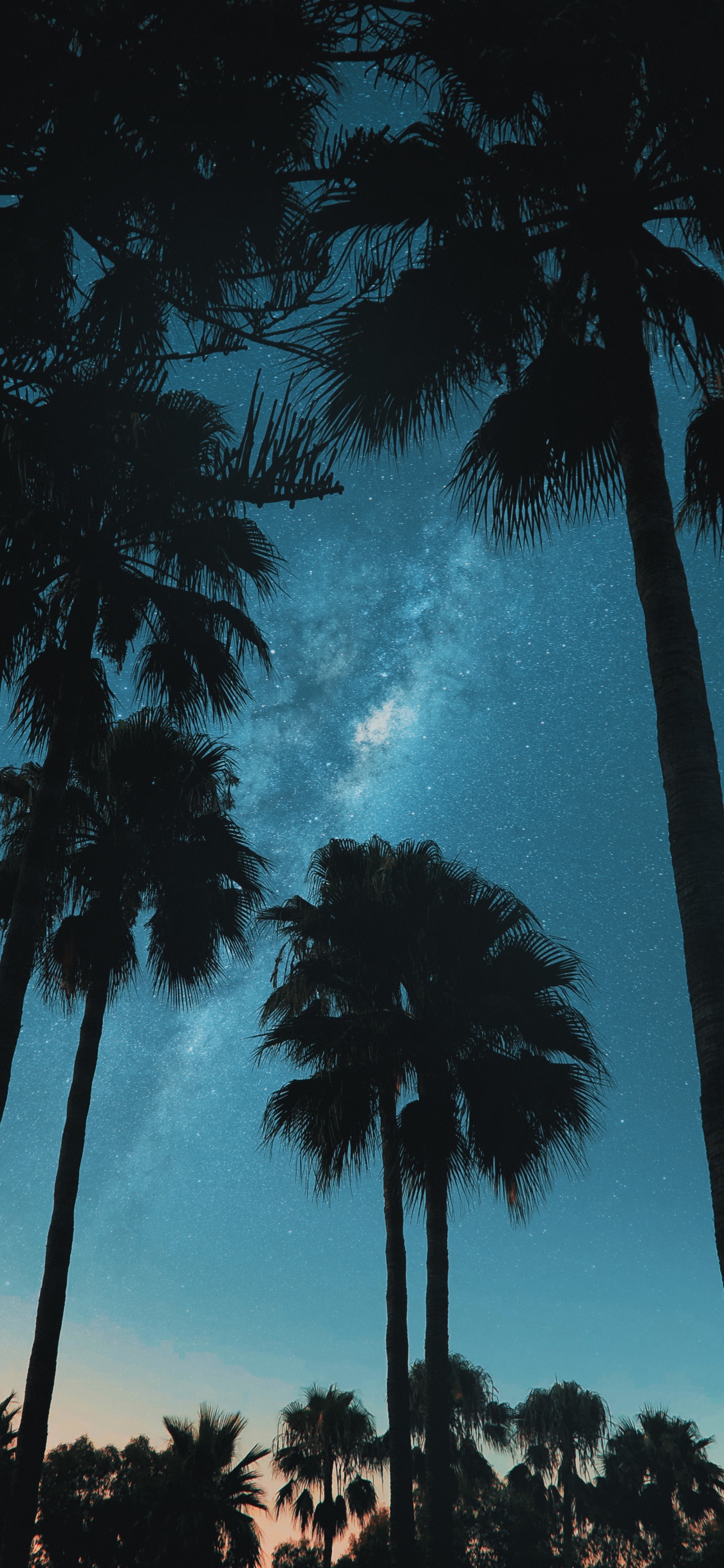 Обои облако, атмосфера, мир, дерево, лазурный в разрешении 1125x2436