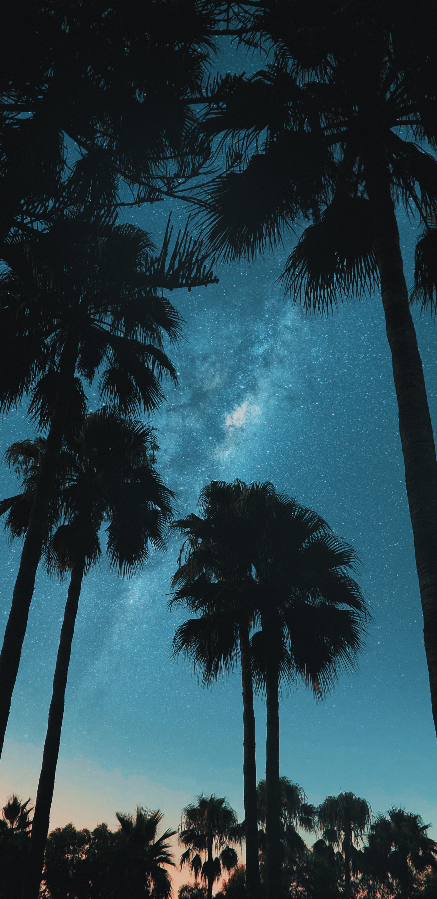 Обои облако, атмосфера, мир, дерево, лазурный в разрешении 1440x2960