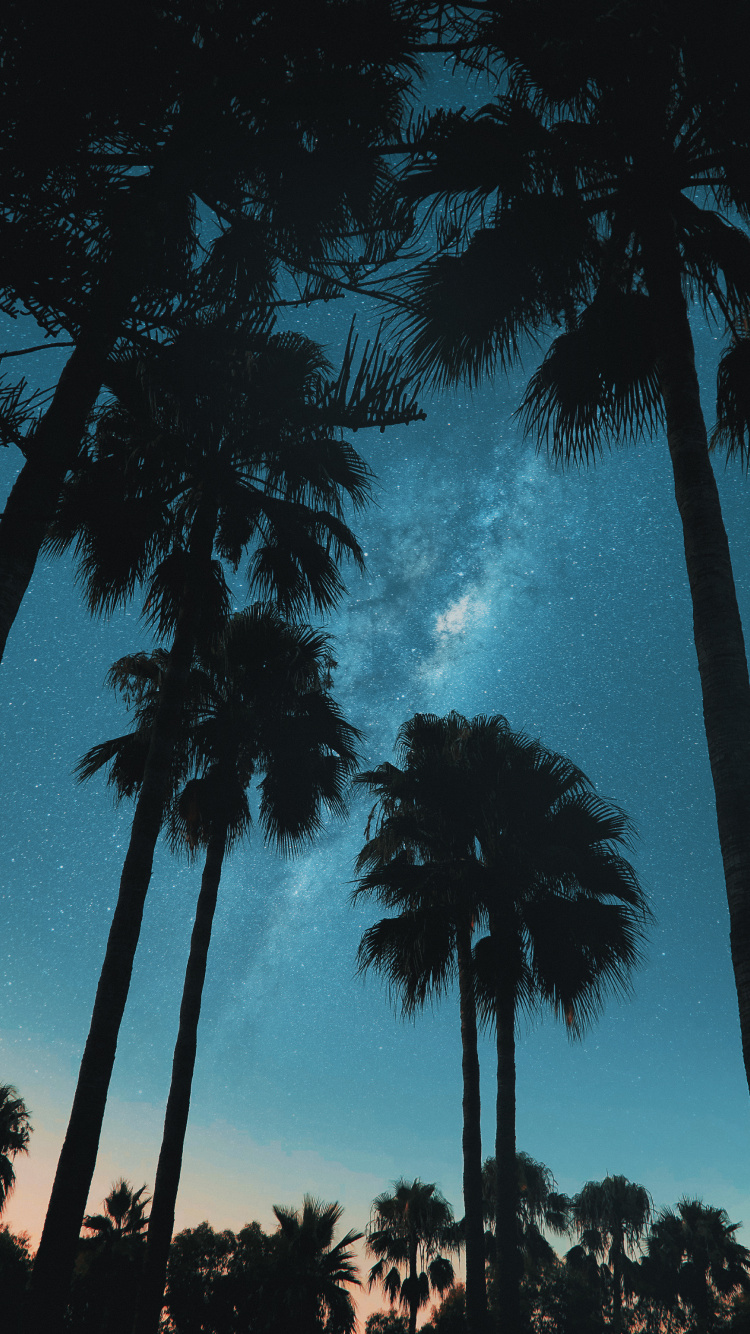 Обои облако, атмосфера, мир, дерево, лазурный в разрешении 750x1334