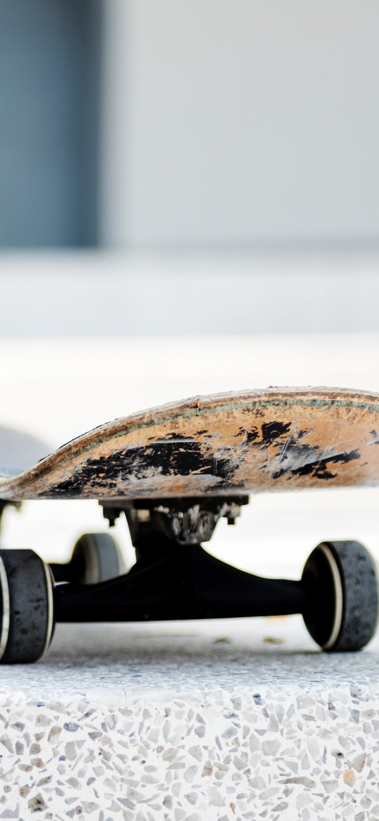 Обои скейтборд, Лонгборд, Скейтбординг Оборудование, Лонгбординг, скейтбординг в разрешении 1242x2688