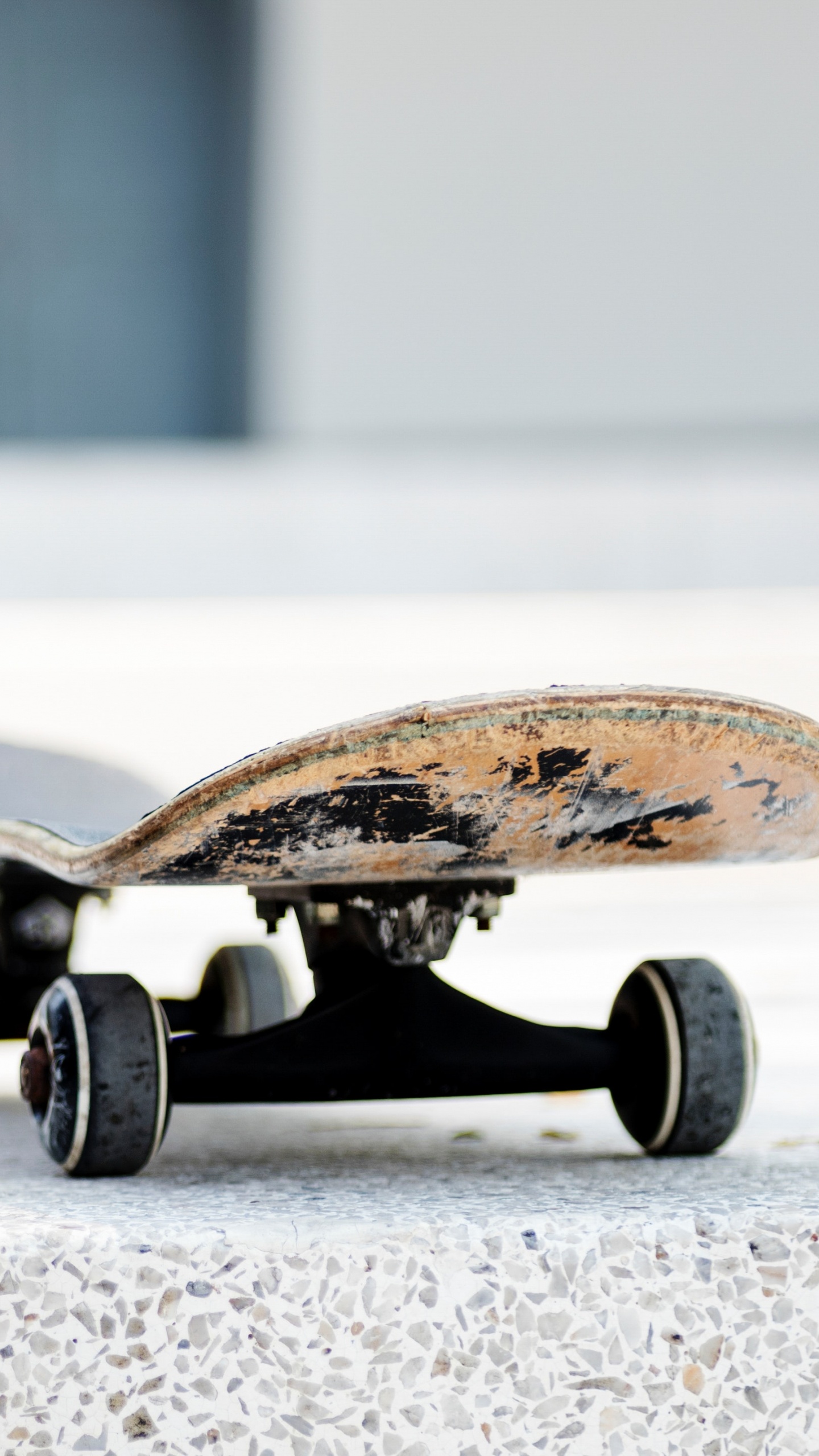 Обои скейтборд, Лонгборд, Скейтбординг Оборудование, Лонгбординг, скейтбординг в разрешении 1440x2560