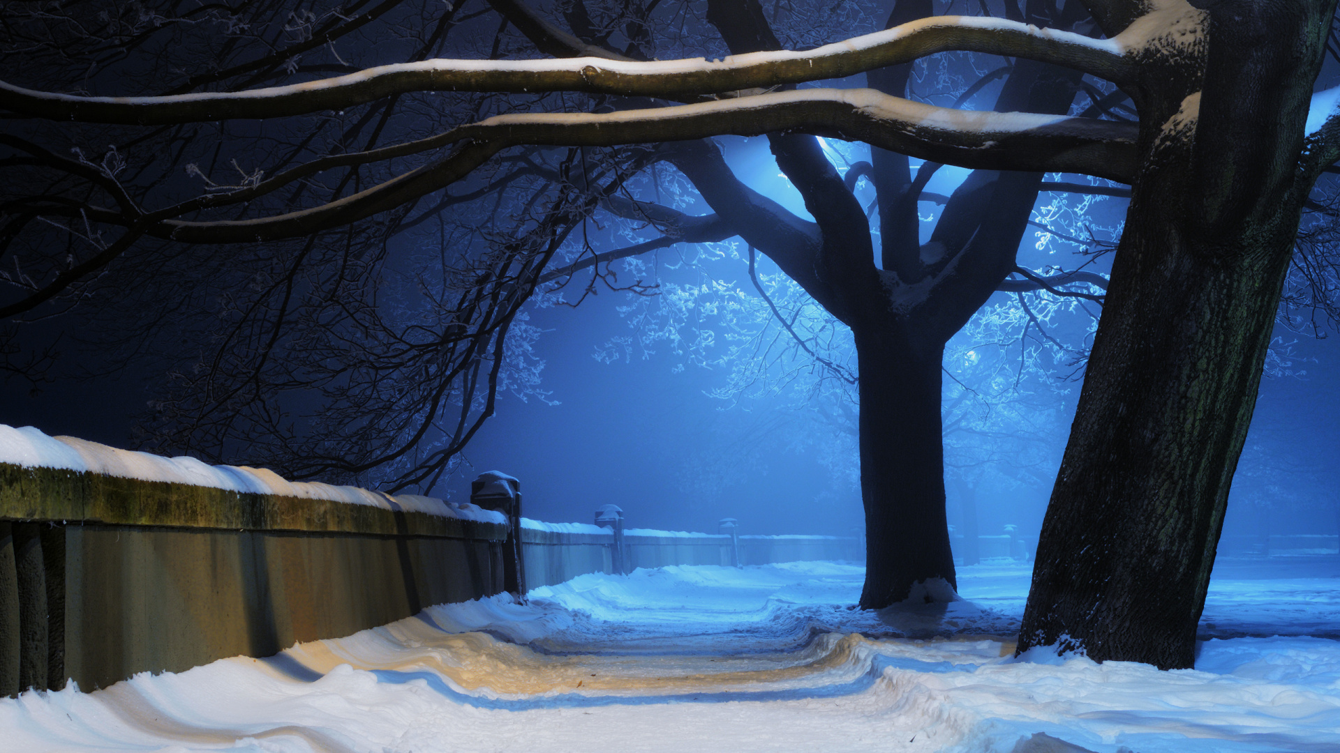 Обои снег, зима, природа, дерево, замораживание в разрешении 1920x1080