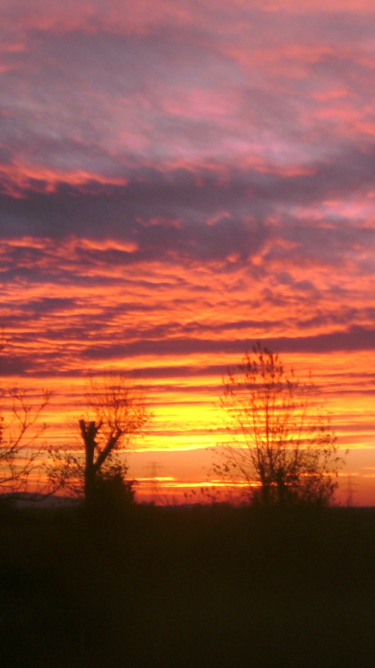 Обои восход солнца, закат, утро, послесвечение, облако в разрешении 750x1334