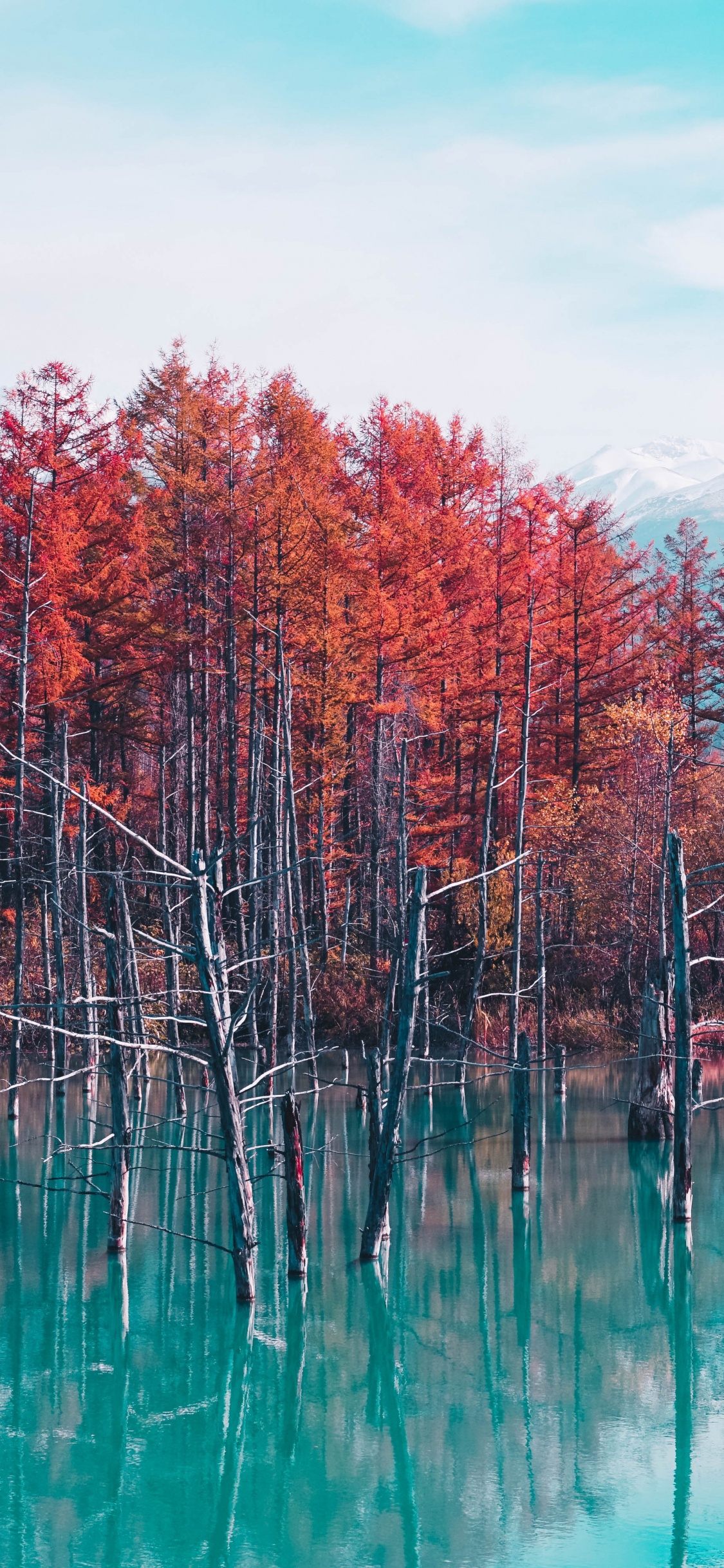 Обои Япония природа, Сироганэ Синий Пруд, гора Фудзи, природа, путешествие в Японию в разрешении 1125x2436