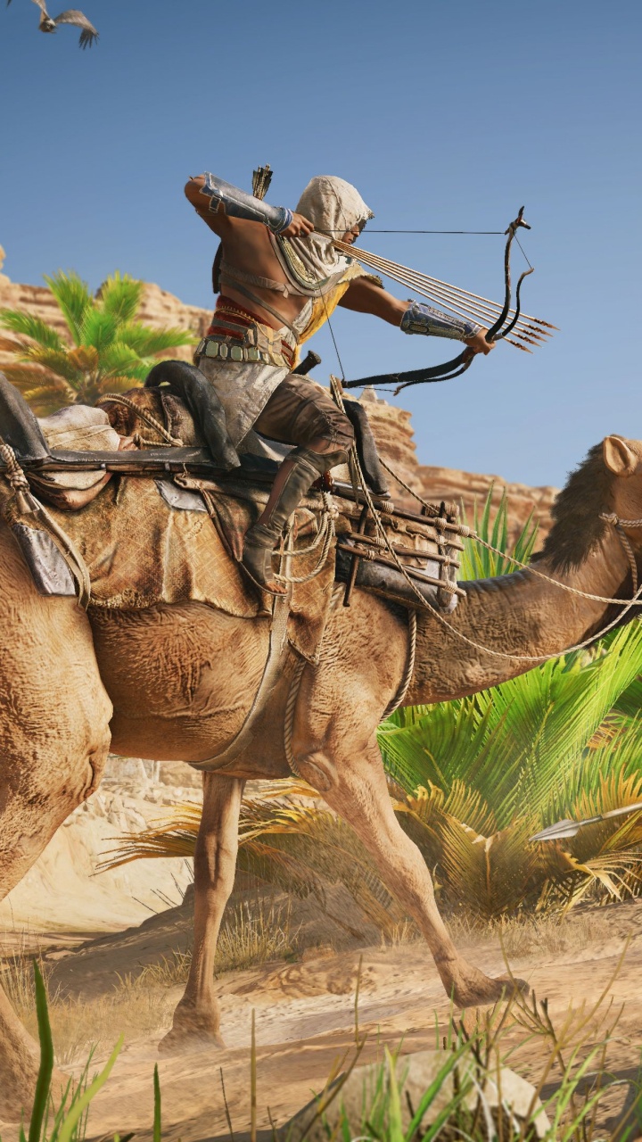 Обои assassins creed origins, assassins creed, ubisoft, ubisoft Монреаль, пейзаж в разрешении 720x1280