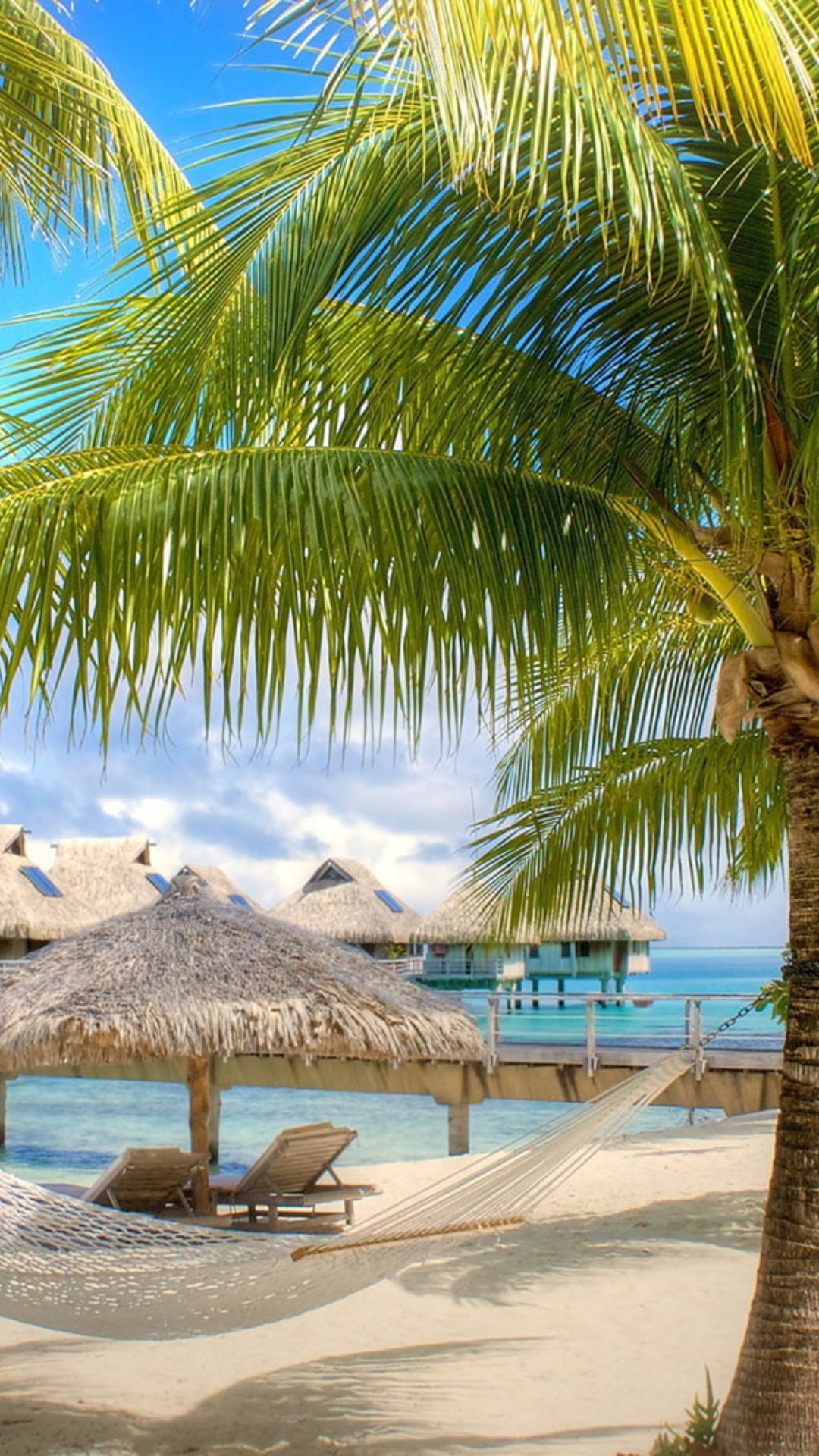 Обои вода, растение, лазурный, природа, дерево в разрешении 1080x1920