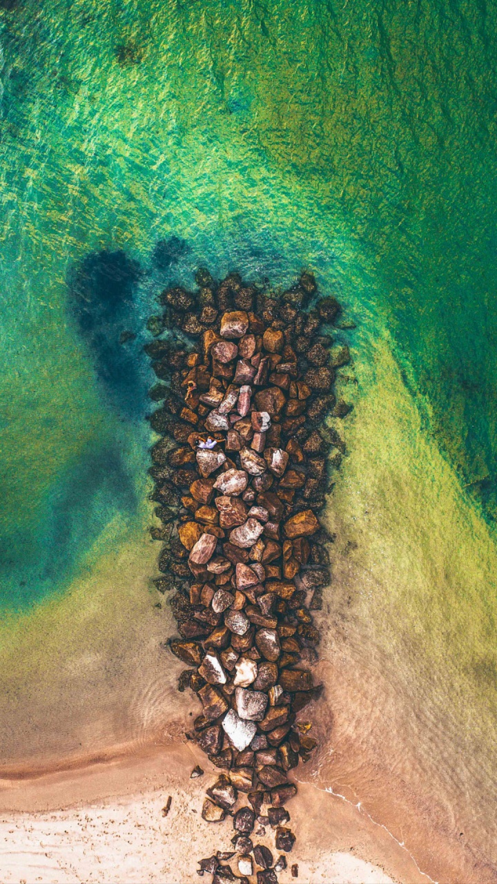 Обои живопись, яблоко, смартфон, растение, арт в разрешении 720x1280