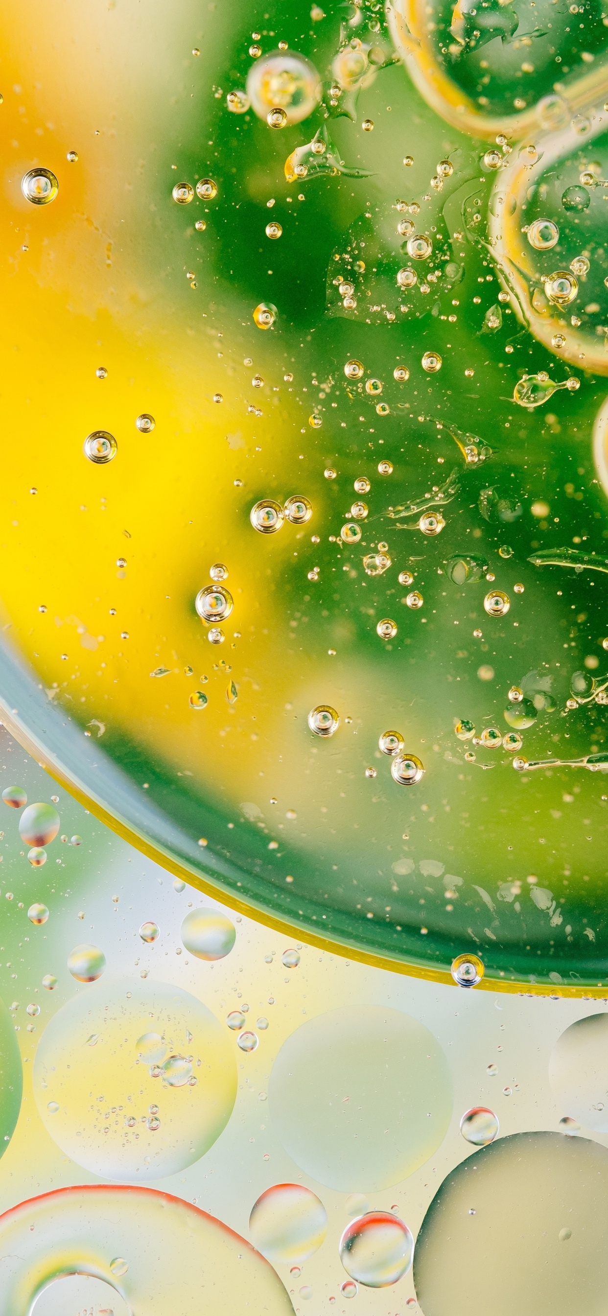 Обои зеленый, известь, пища, цитрус, напиток в разрешении 1242x2688