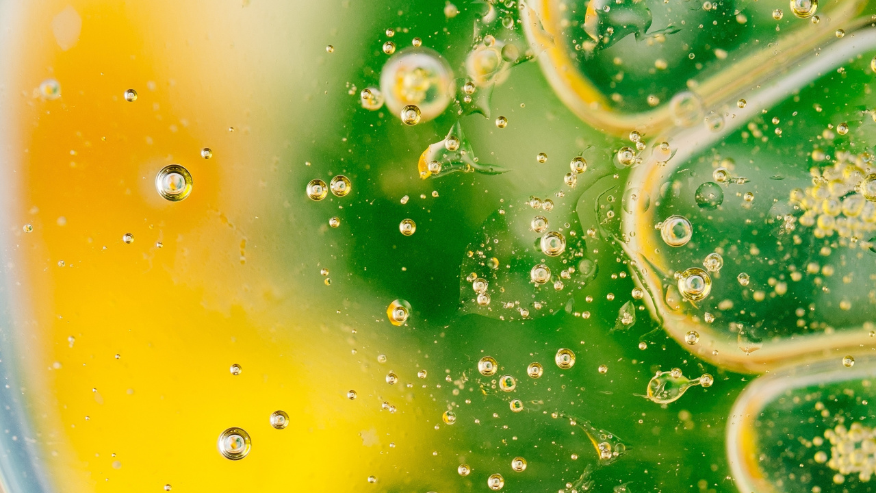 Обои зеленый, известь, пища, цитрус, напиток в разрешении 1280x720
